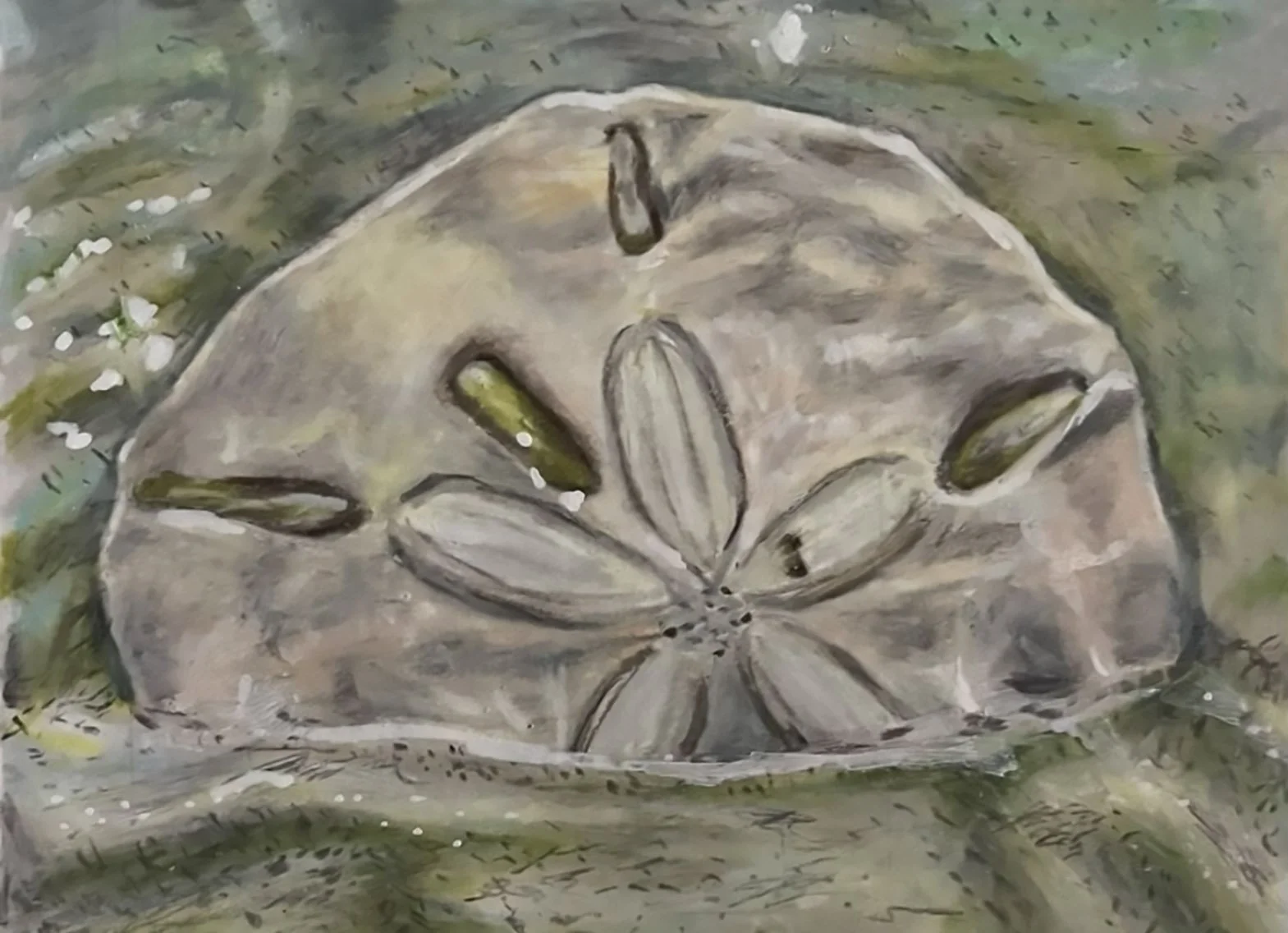  "Sand Dollar"   
Medium: Marker and Colored Pencil  