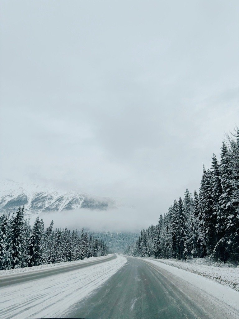Image (18).jpg