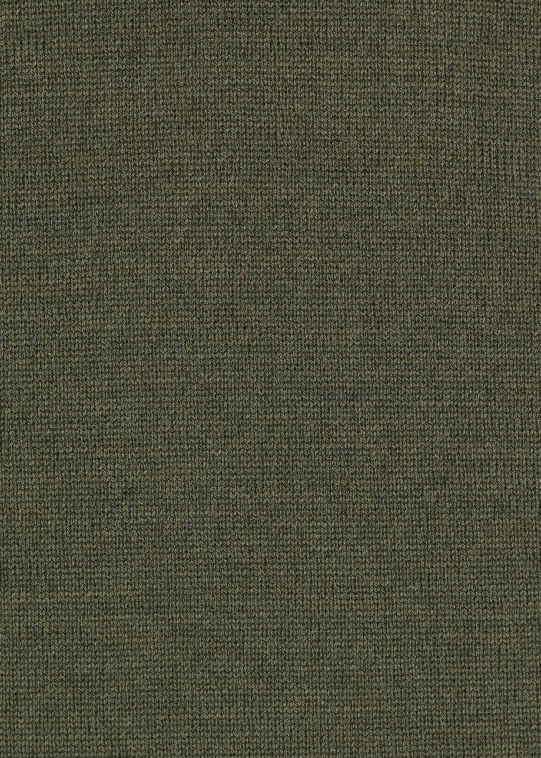 Olive.jpg