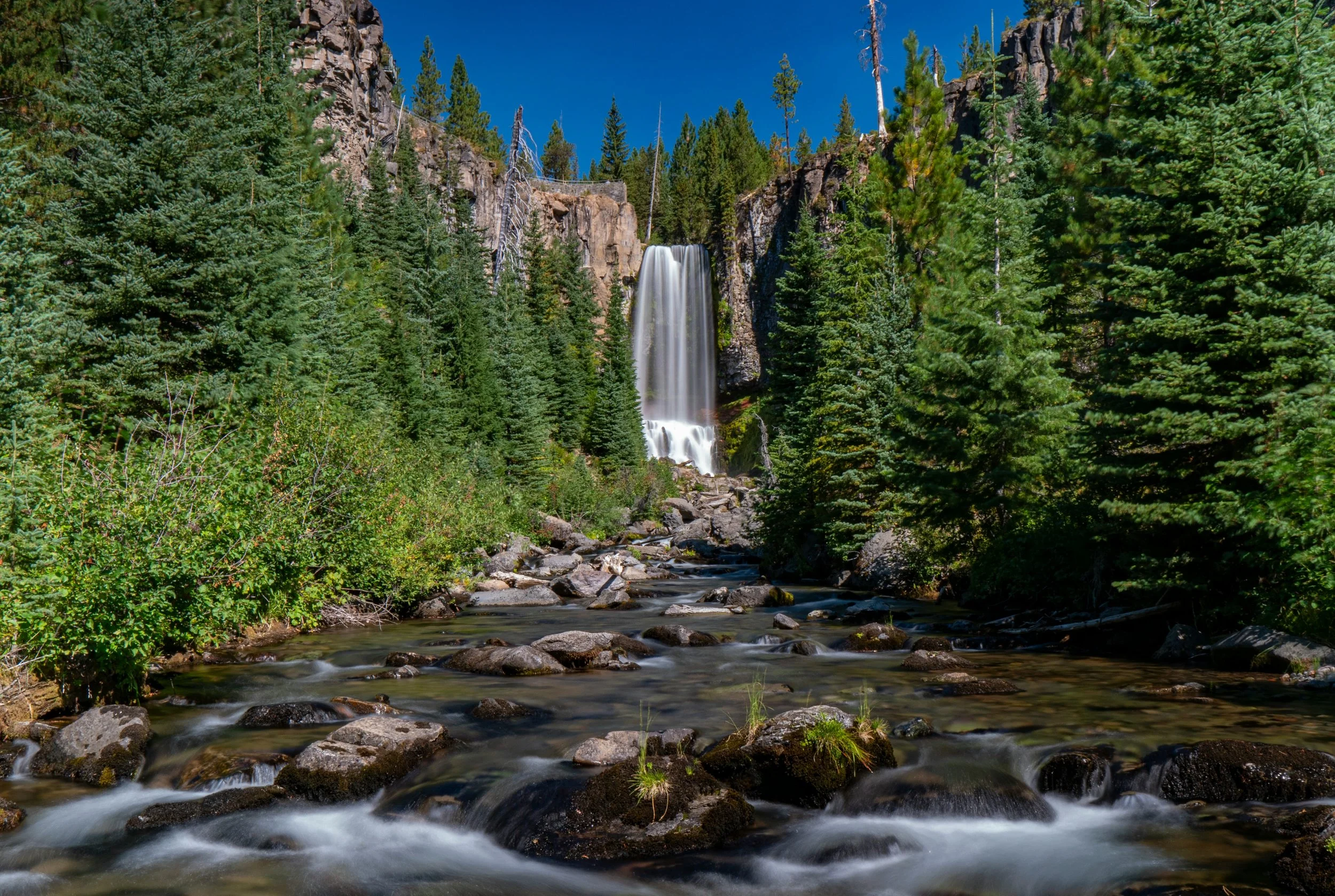 A waterfall flowing down a rocky cliff surrounded by dense green trees in a forest.