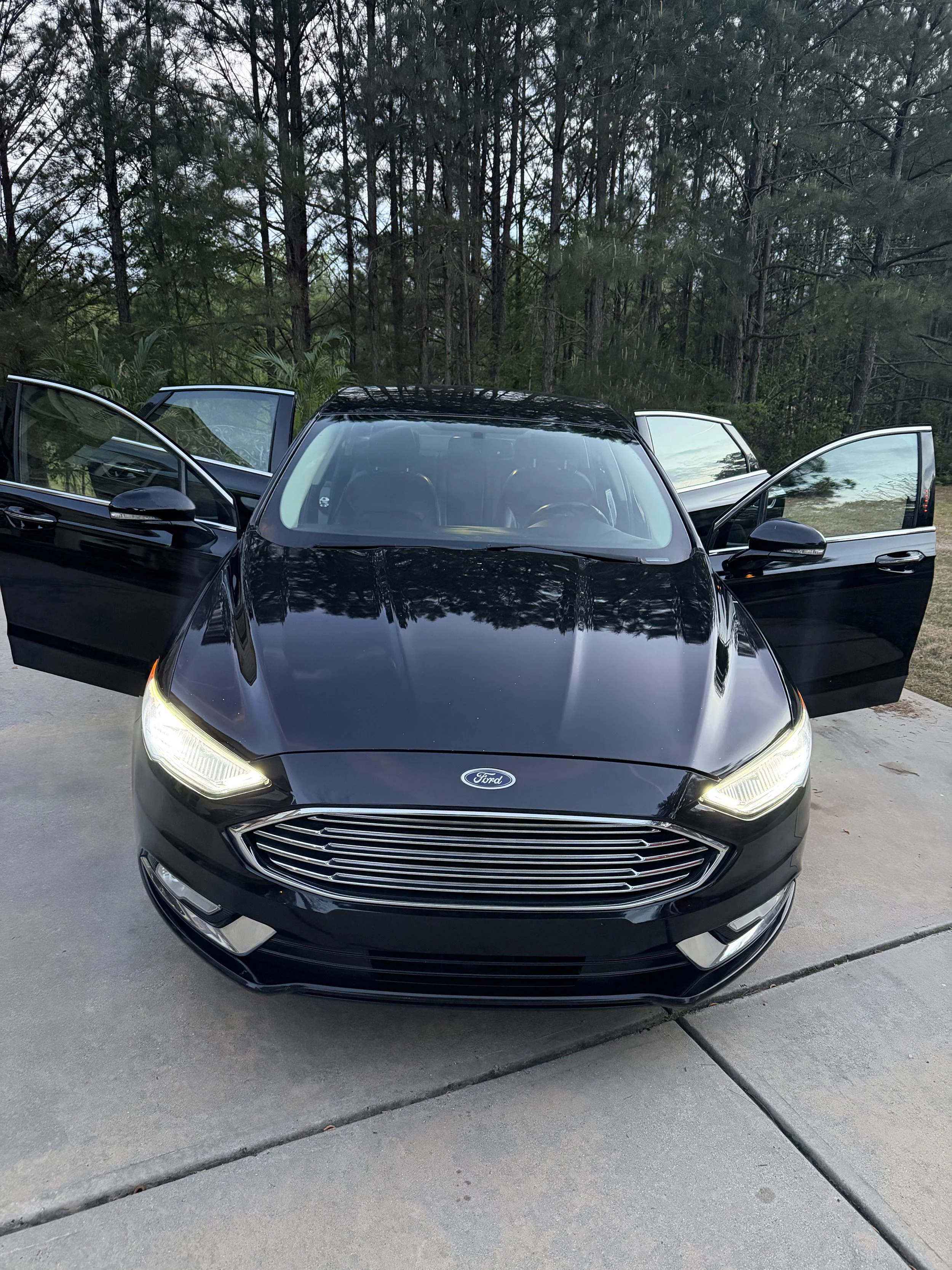 Car Rentals