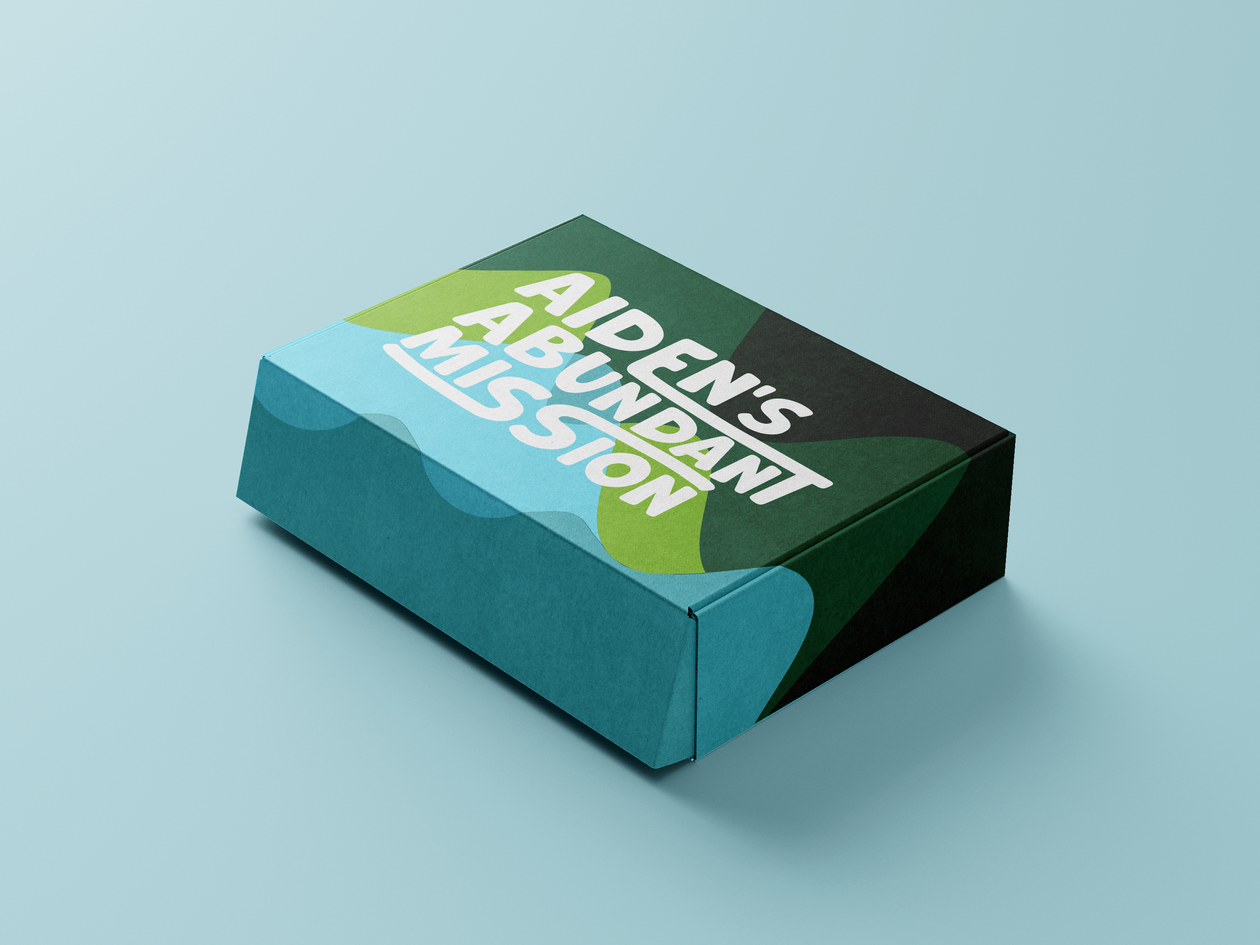 AAM_Mailer_Box_Mockup.png