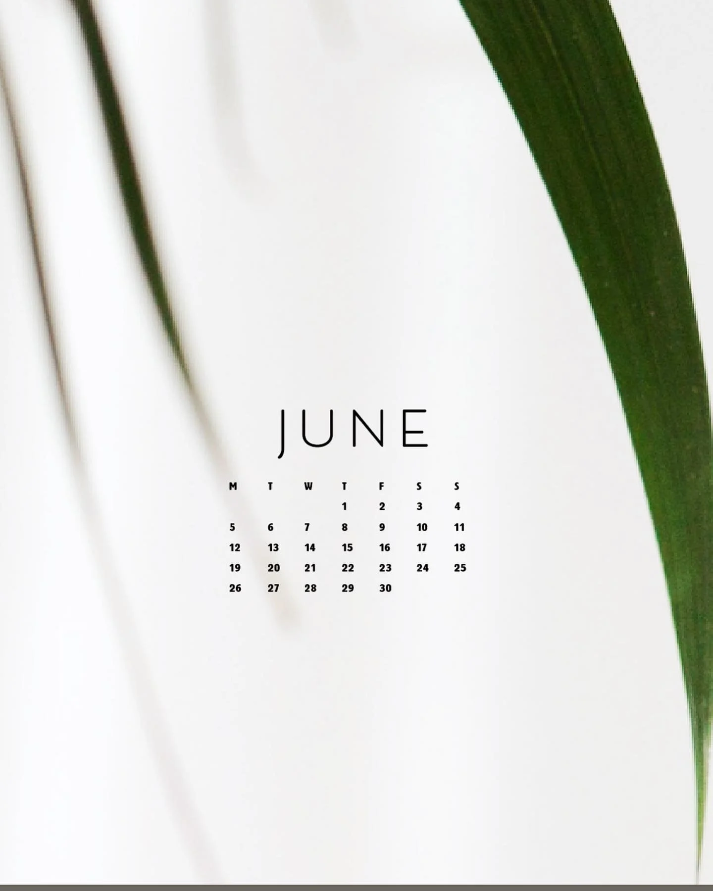 June&rsquo;s already here!
I&rsquo;ve bee experimenting with screen backgrounds and you know I change my wallpapers like I change clothes so (drum roll&hellip;) there will a lot of wallpapers options coming for this month!

I&rsquo;ll be sharing a fe