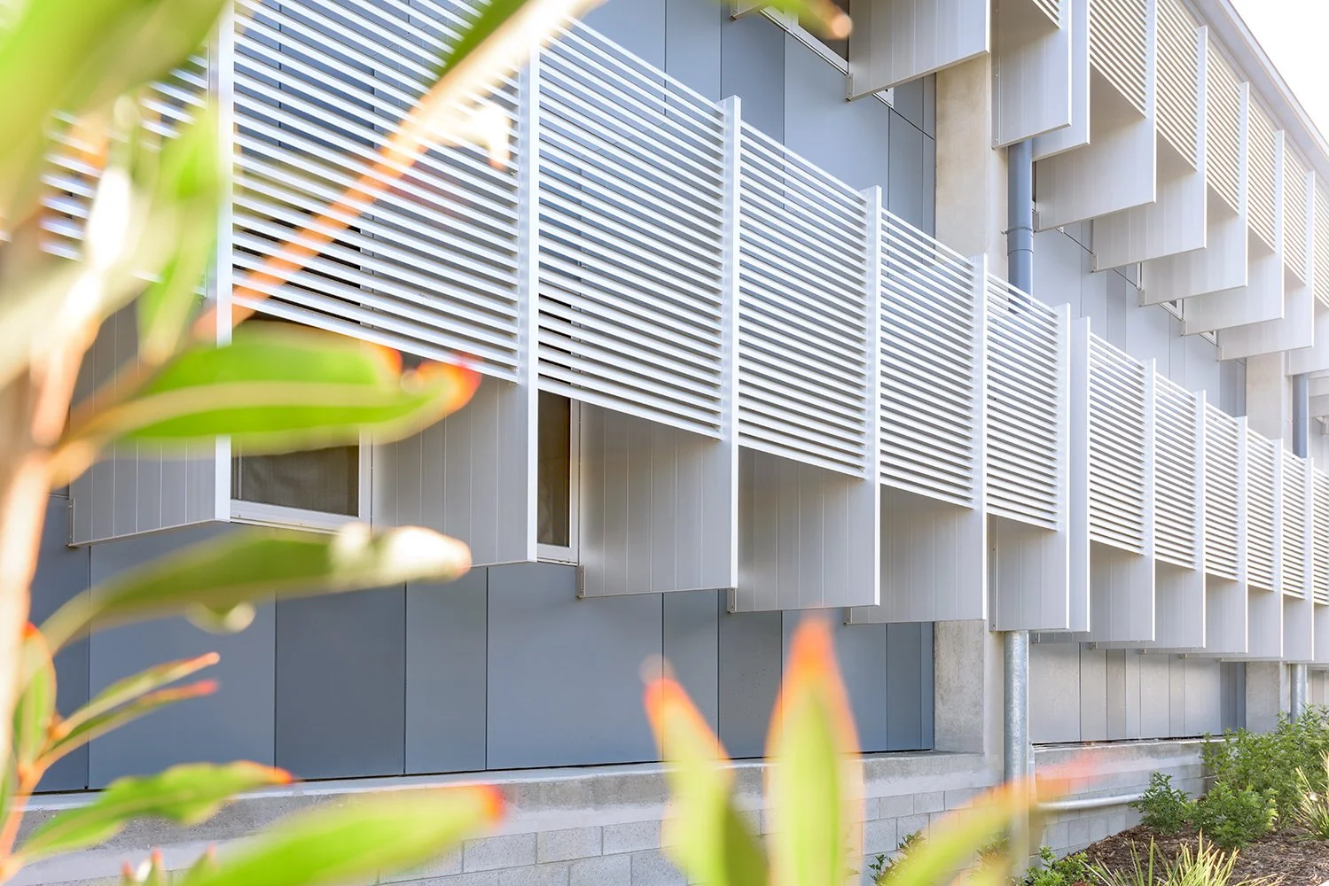 CentenarySHS_LowRes_04.jpg