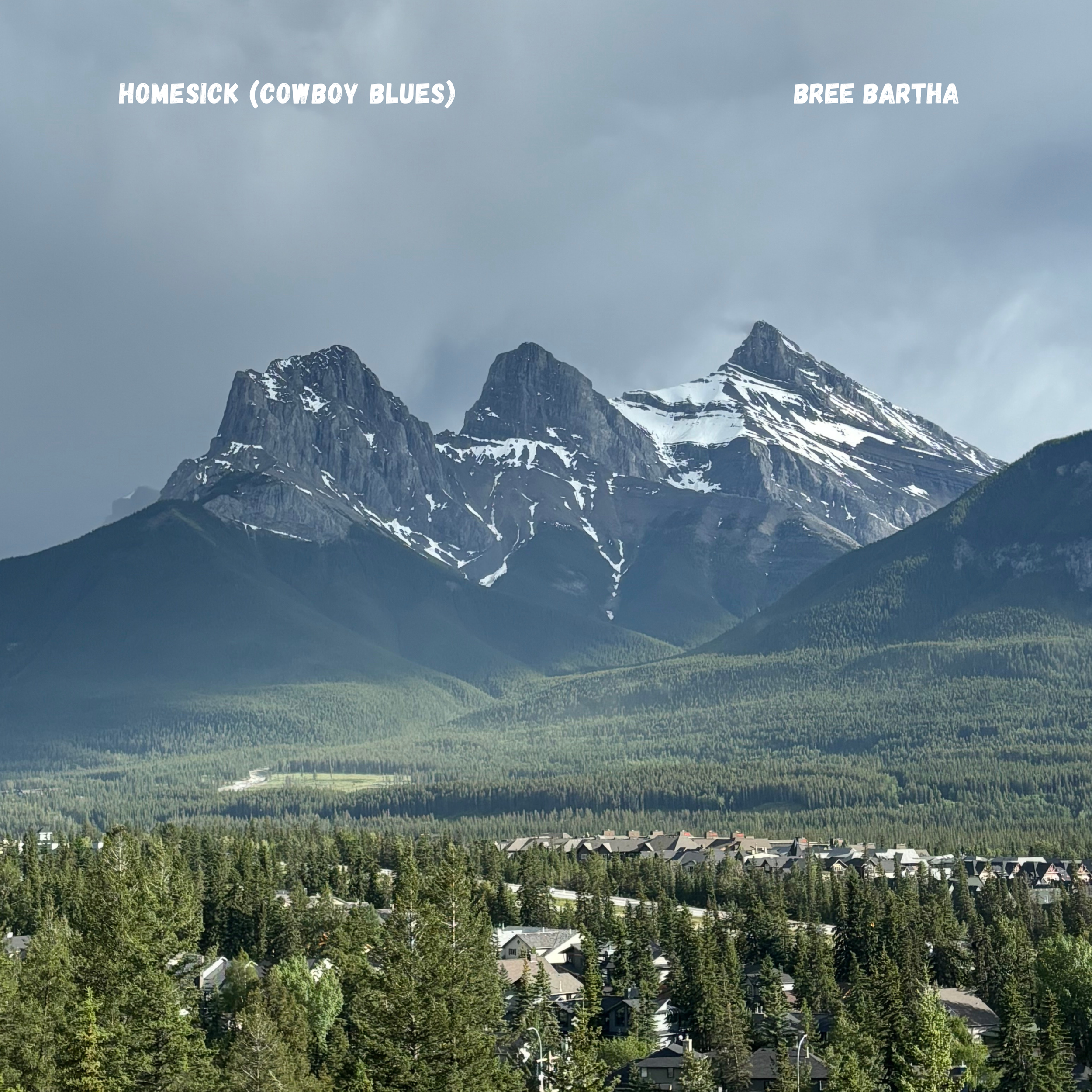 homesick (cowboy blues)