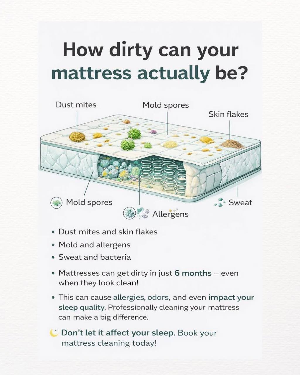 🛏️ How dirty can your mattress actually be?