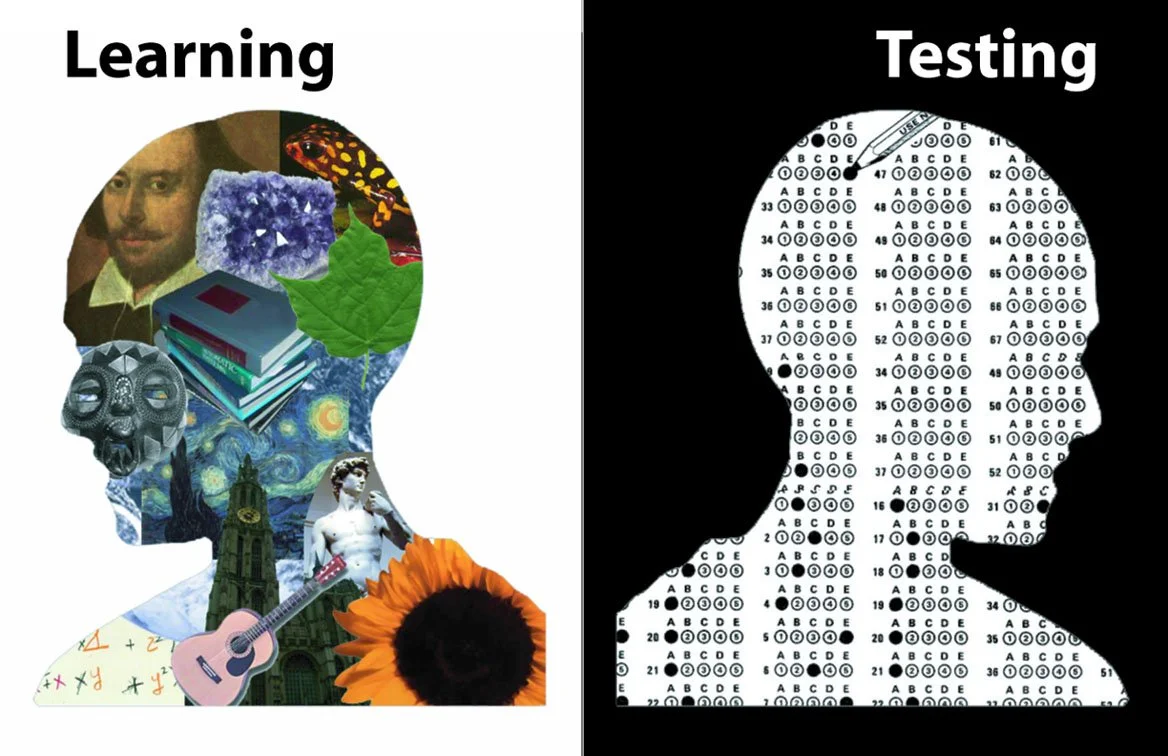 The image is divided into two sections. The left side, labeled 'Learning,' features a collage inside a human head silhouette, including a man from a painting, a crystal, a frog, a leaf, a stack of books, a mask, a cityscape, a statue, a guitar, and a sunflower. The right side, labeled 'Testing,' displays a silhouette of a human head filled with a black-and-white multiple-choice answer sheet.