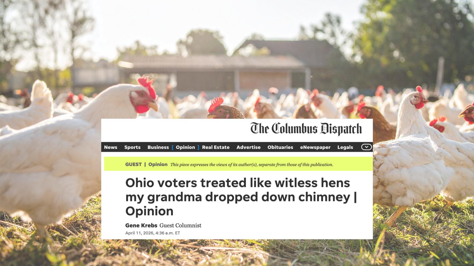 Op-Ed: Ohio voters treated like witless hens my grandma dropped down chimney