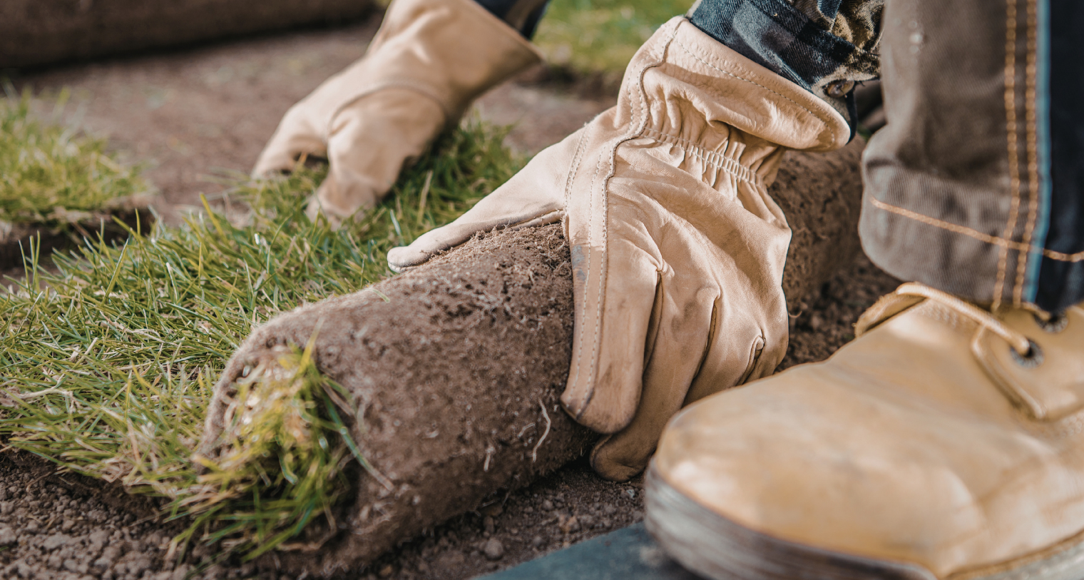 Close-up of a person installing sod in Grande Prairie, wearing beige work gloves and tan work boots.