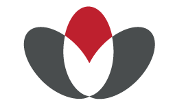 Stylized heart-shaped flower with red, black, and gray petals