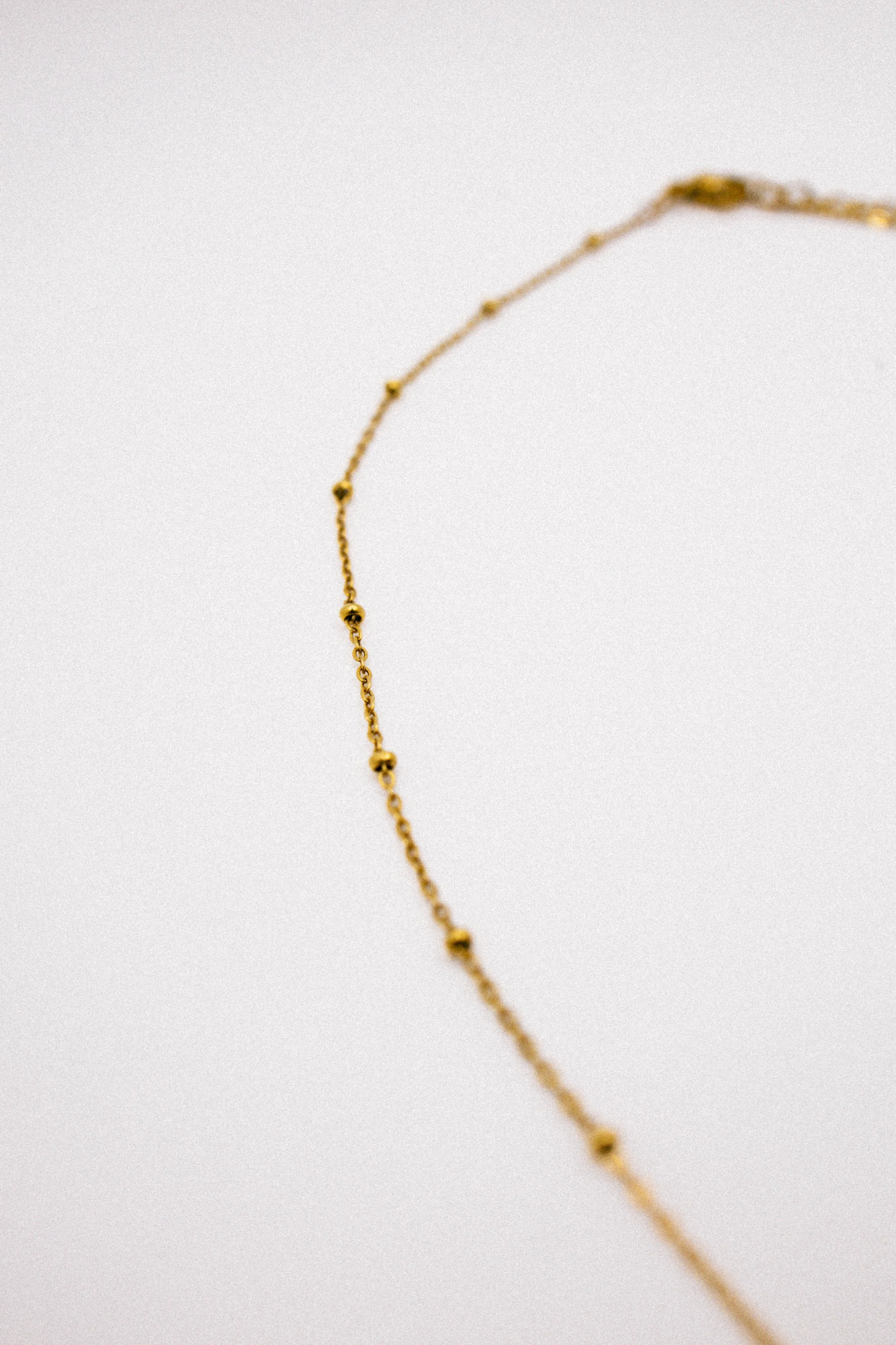 A49A5319.jpg