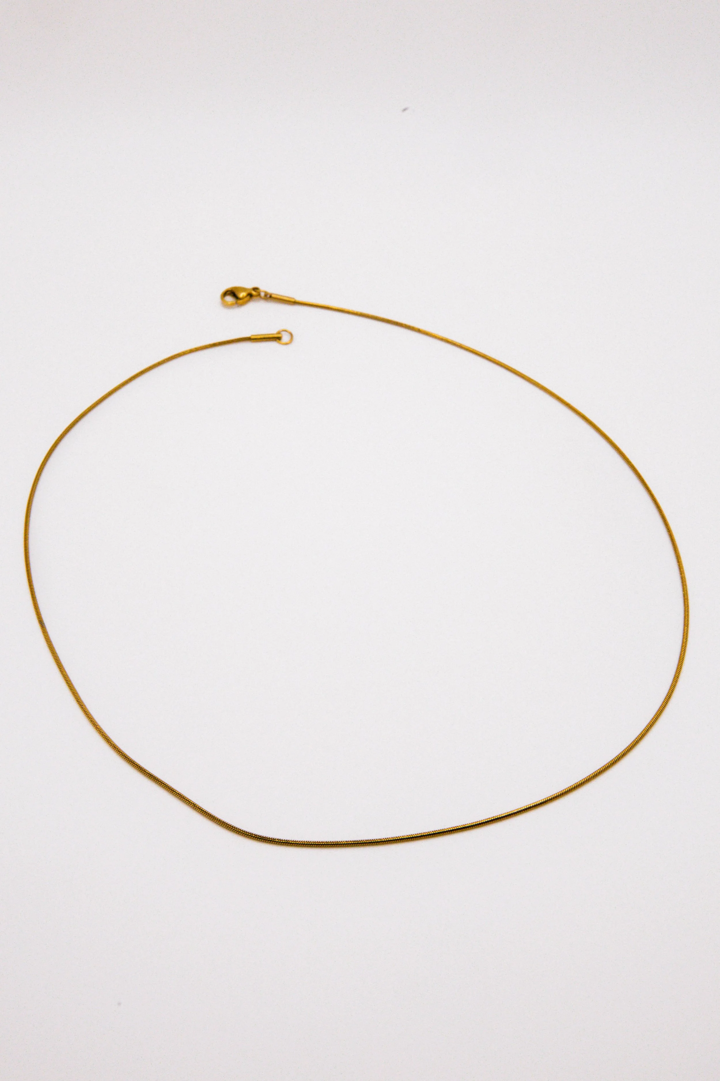 Snake Chain Necklace