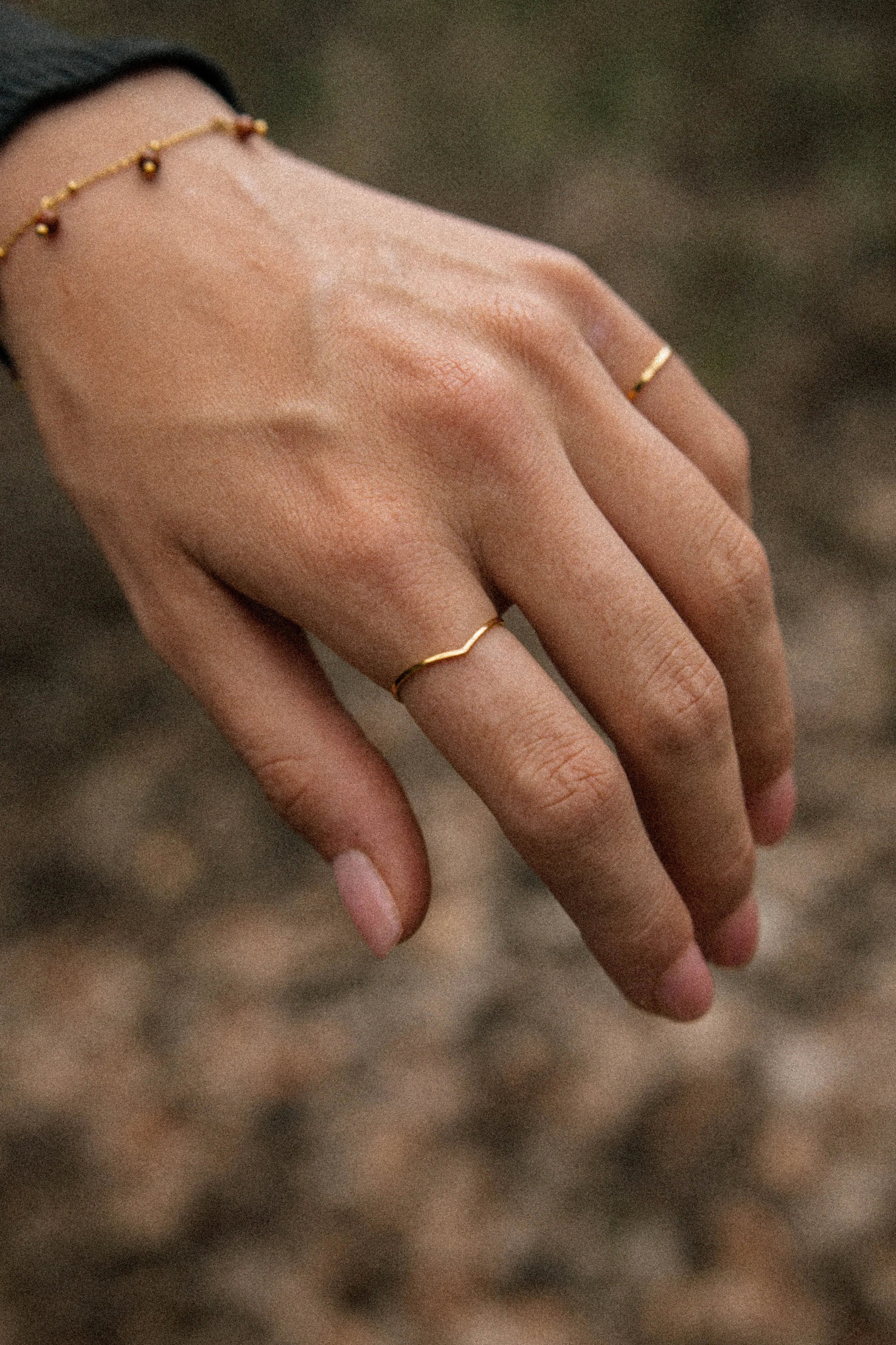 A49A4481.jpg
