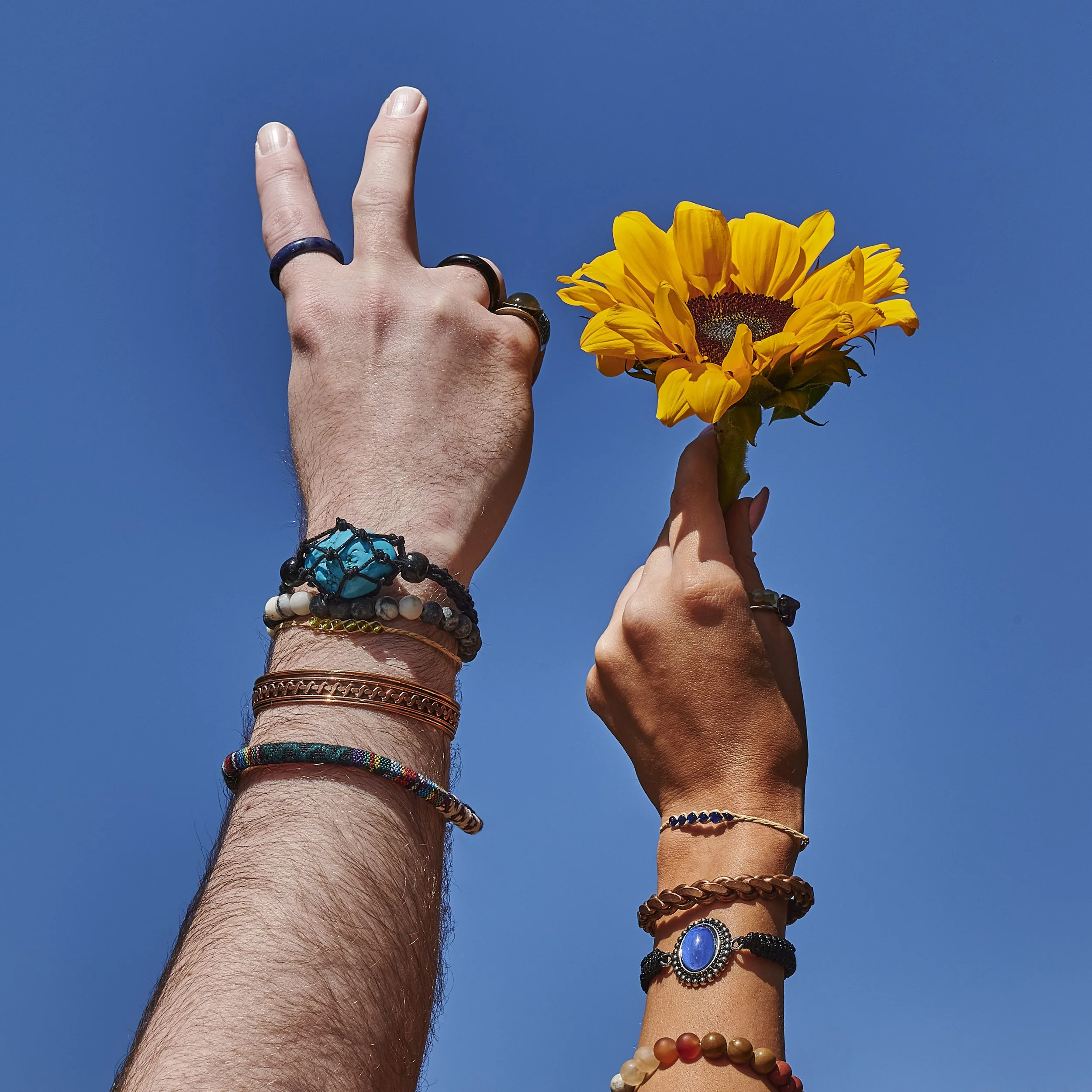 Editorial & Social Media