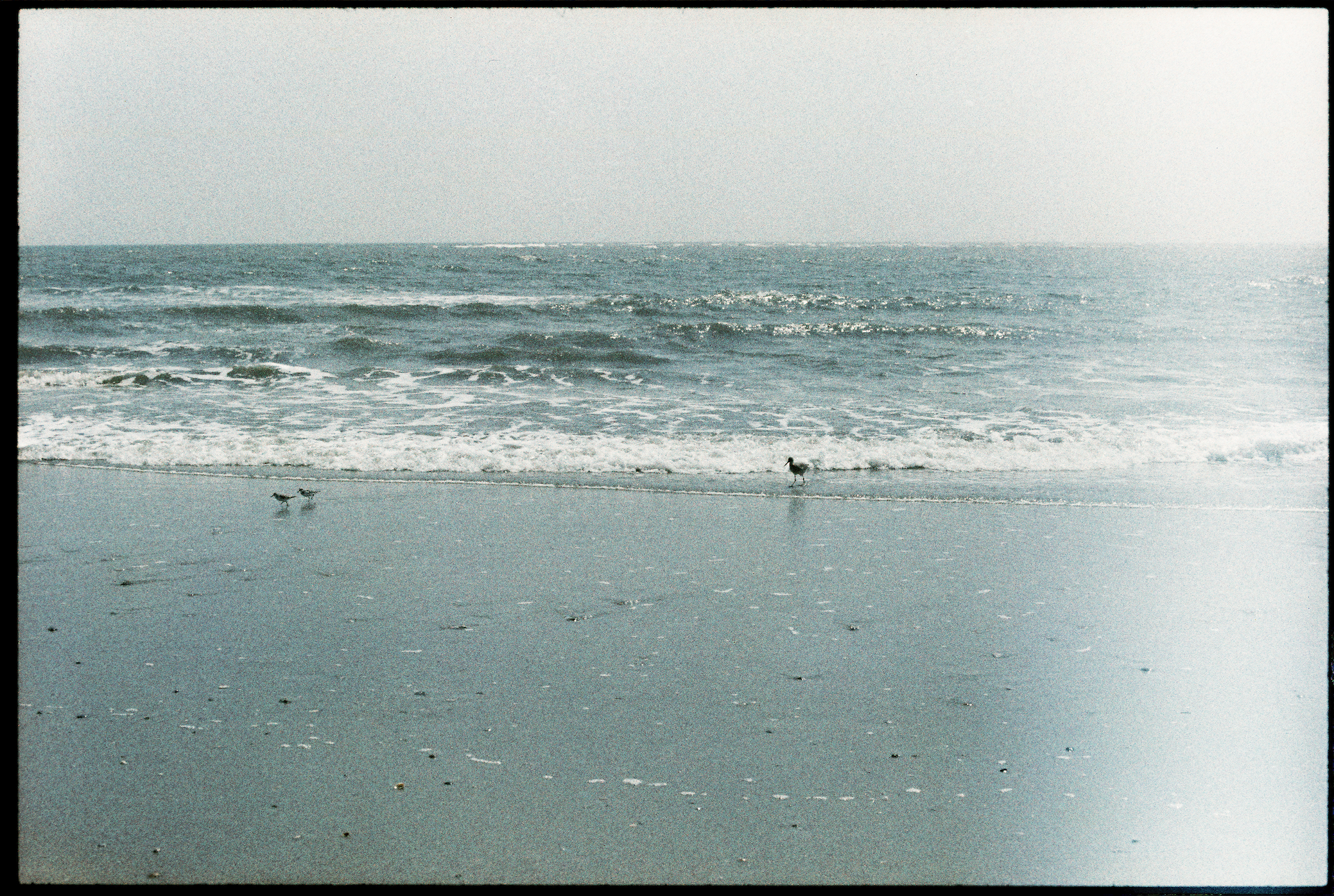 Screenshot 2026-04-28 at 12.00.48 AM.png