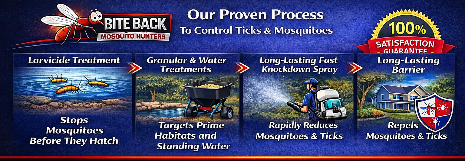 A graphic infographic titled 'Our Proven Process to Control Ticks & Mosquitoes' by Bite Back Mosquito Hunters. It outlines four steps: Larvicide Treatment with an illustration of mosquito larvae, Granular & Water Treatments with a wheelbarrow, Long-Lasting Fast Knockdown Spray with a person spraying, and Long-Lasting Barrier with a house and a shield. Each step includes a brief description of its purpose.