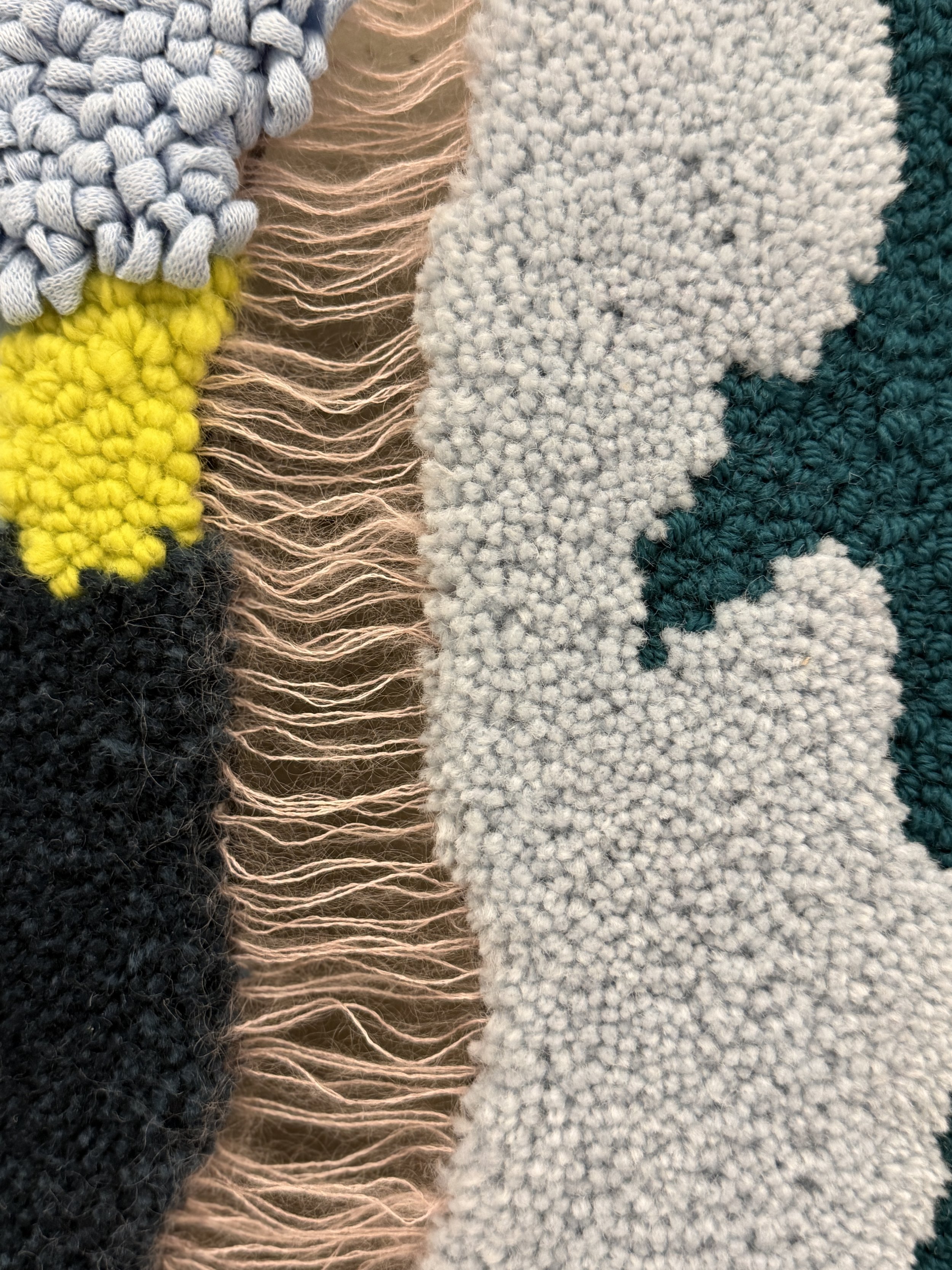 megan-aujla-segmented-field-II-detail-1.JPG