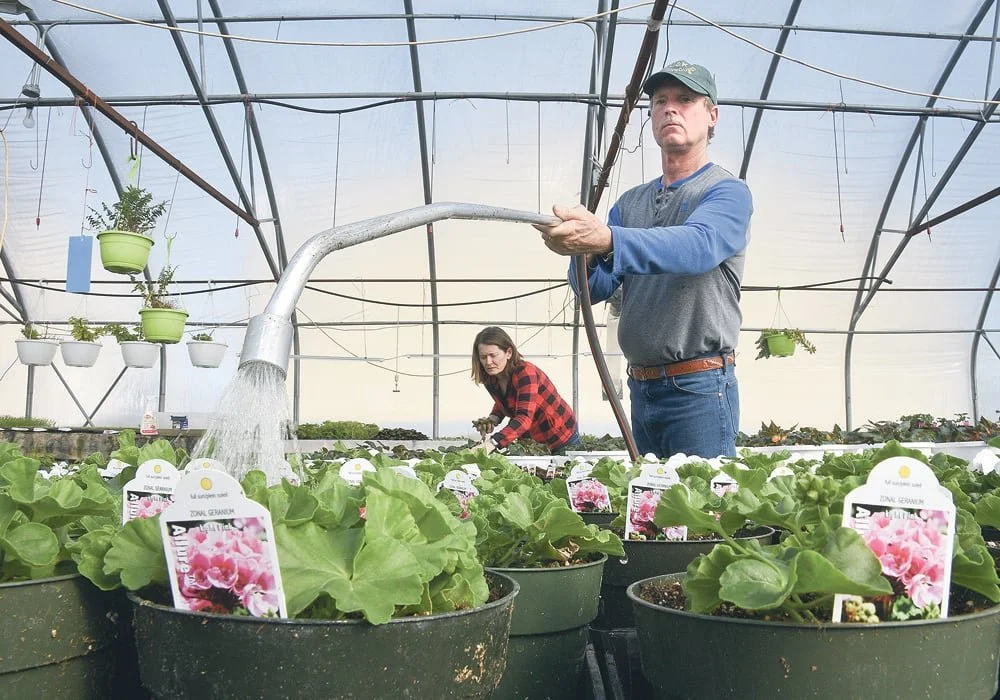 A man watering plants in a greenhouse with a woman working in the background.