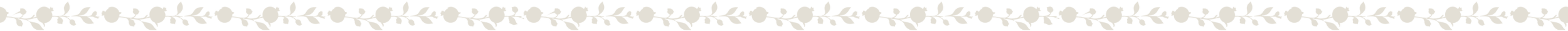 Decorative border with white floral pattern on a black background.