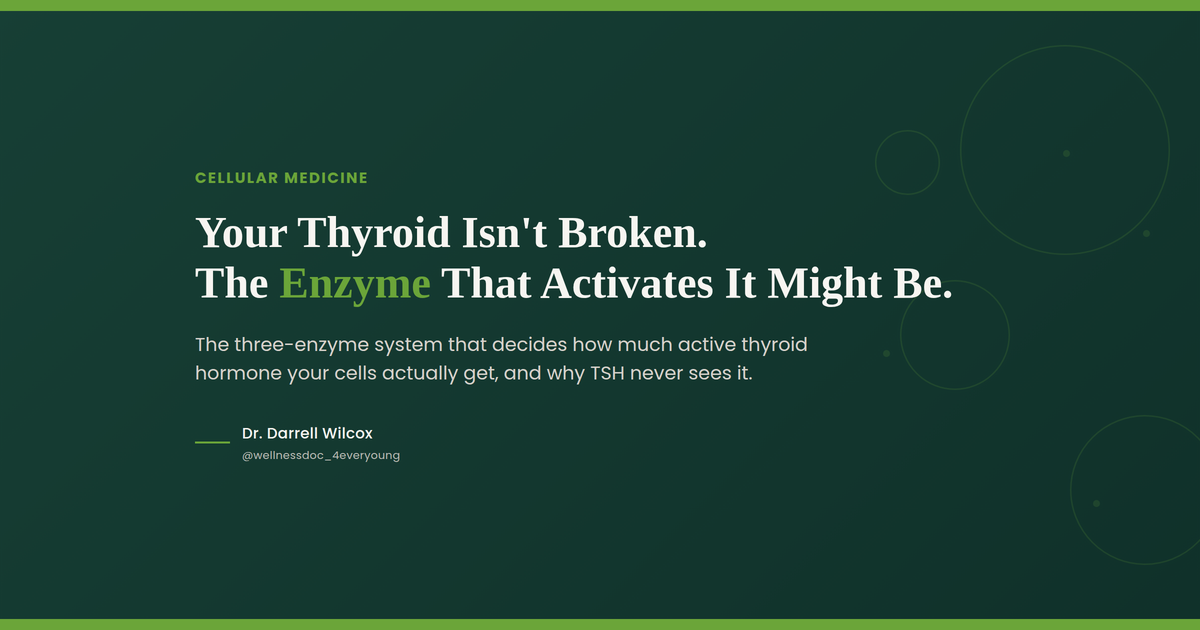 Your Thyroid Isn't Broken. The Enzyme That Activates It Might Be.