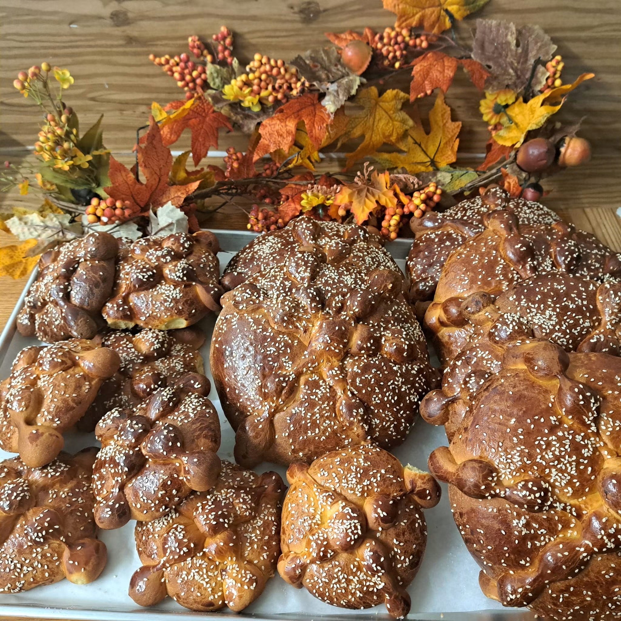 Close-up of multiple pretzels topped with sesame seeds and baked, on a tray, with fall-themed leaves and berries decoration.