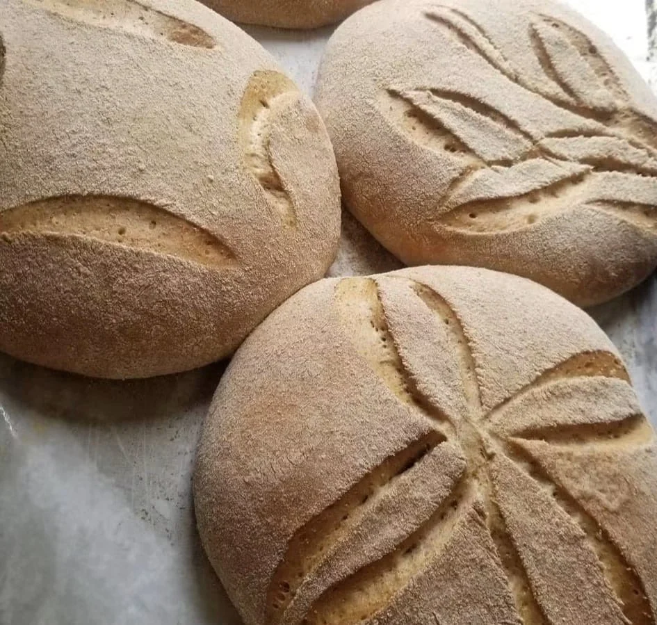 Three round loaves of bread with leaf-shaped slash marks on top, resting on white parchment paper.