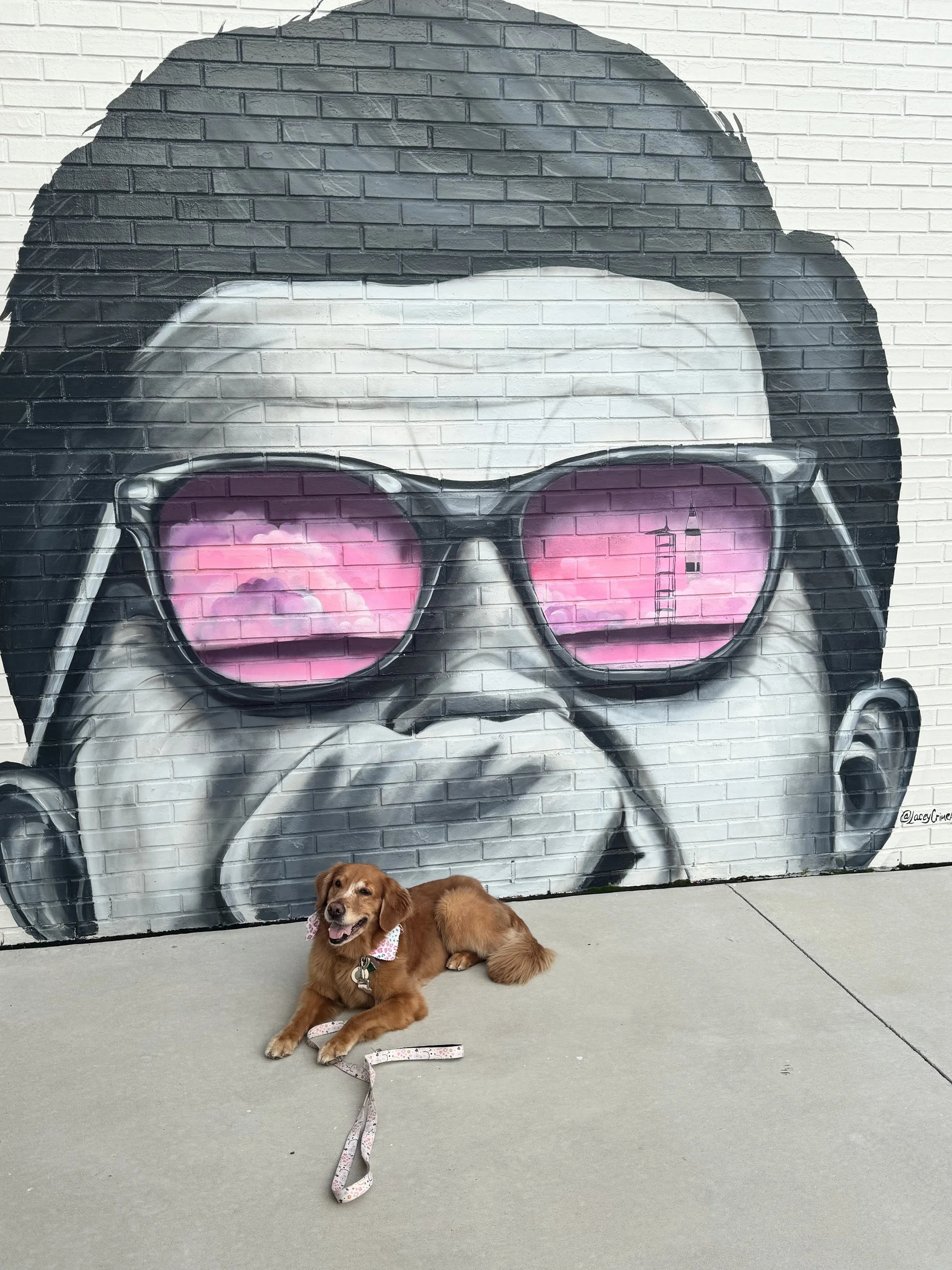 A mural of a person with short hair, wearing glasses with reflective pink lenses showing a sunset and a radio tower, painted on a brick wall. In front of the mural, a brown dog with a pink bandana is lying on the sidewalk, looking at the camera.
