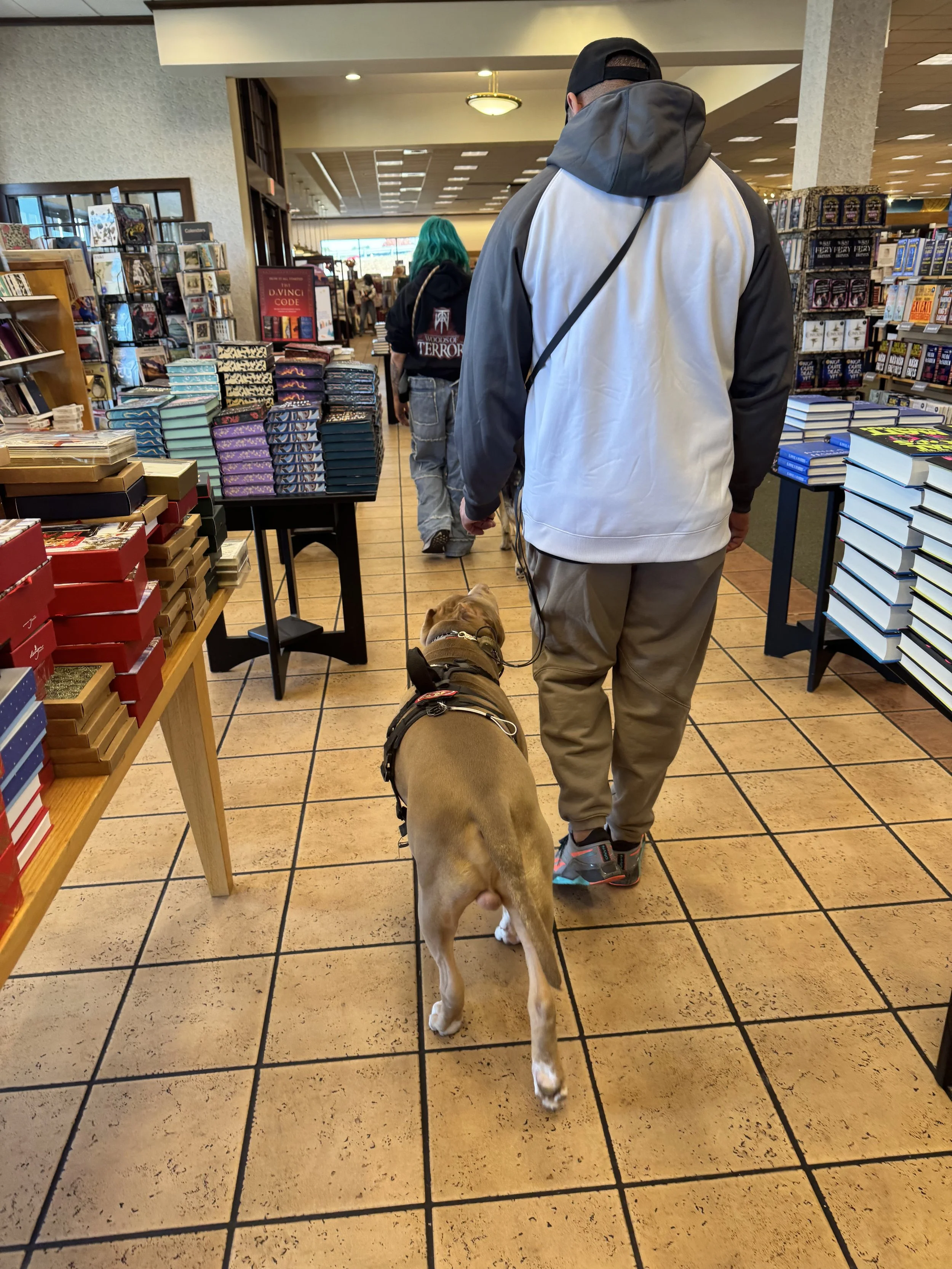 A person walking with a brown dog wearing a harness in a bookstore, with shelves of books on either side and other shoppers in the background.