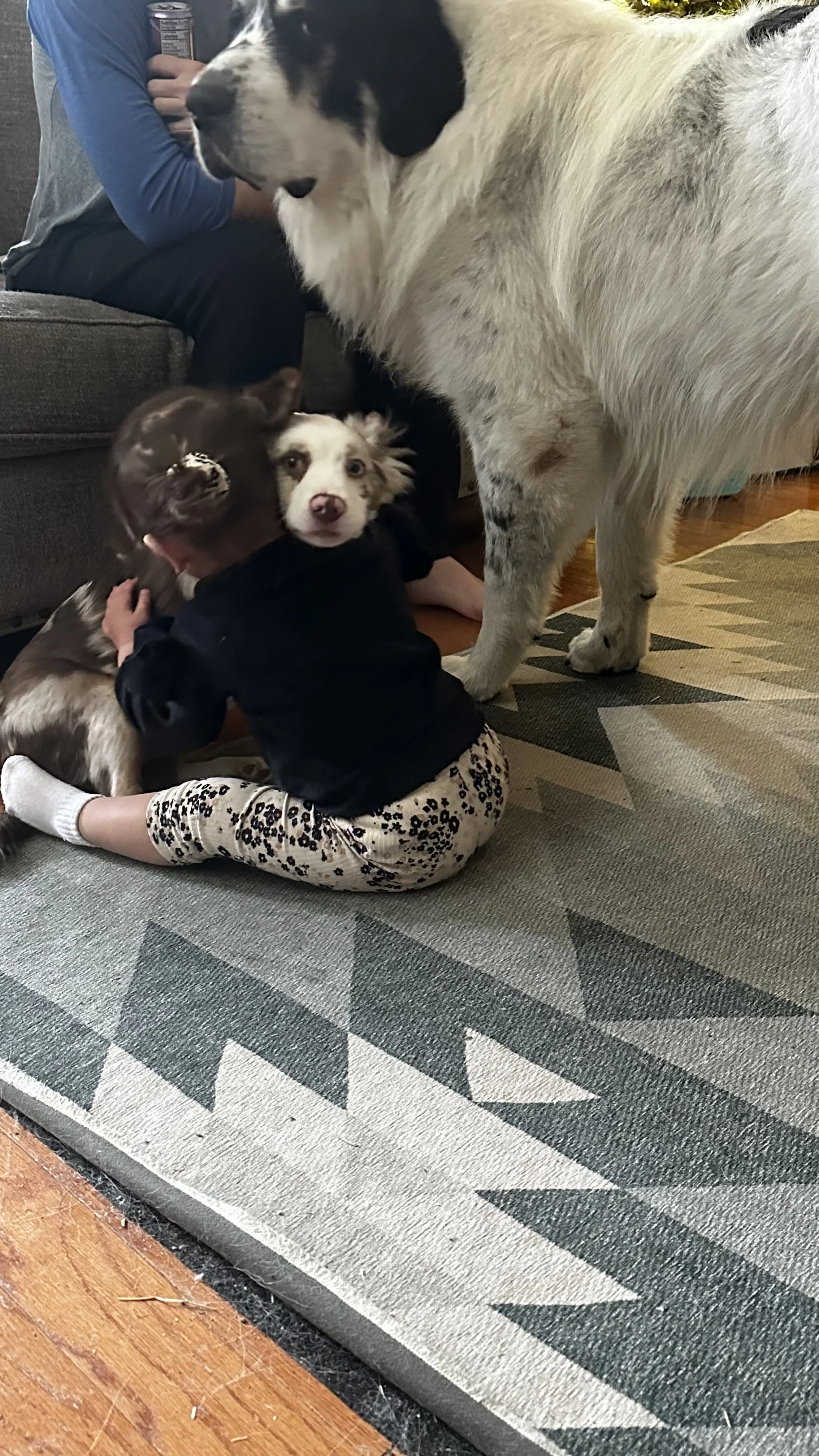 Two young children, one hugging a brown puppy and the other looking at a large black and white dog inside a living room.