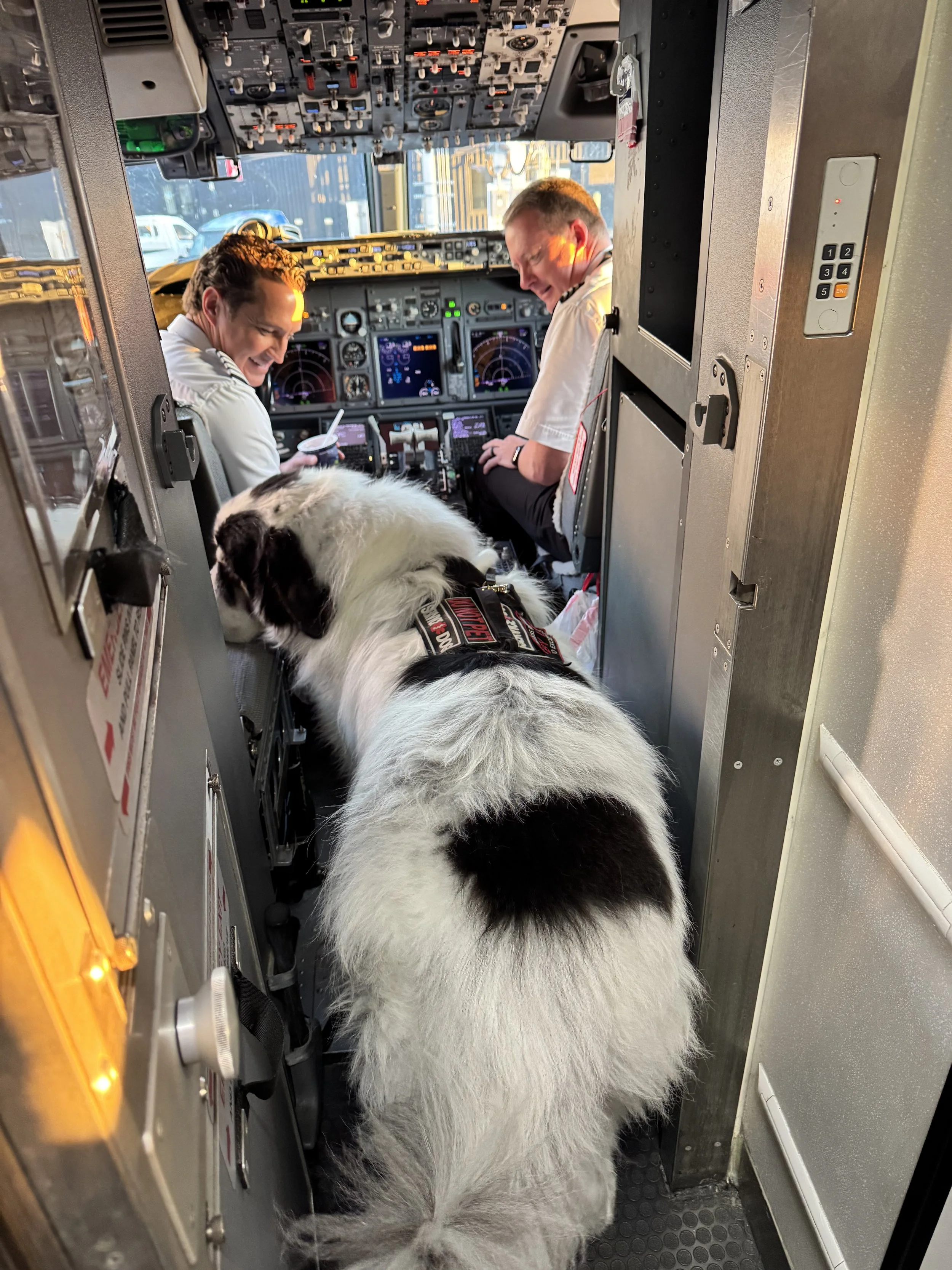 Pilots sitting in cockpit with a service dog in front of them.