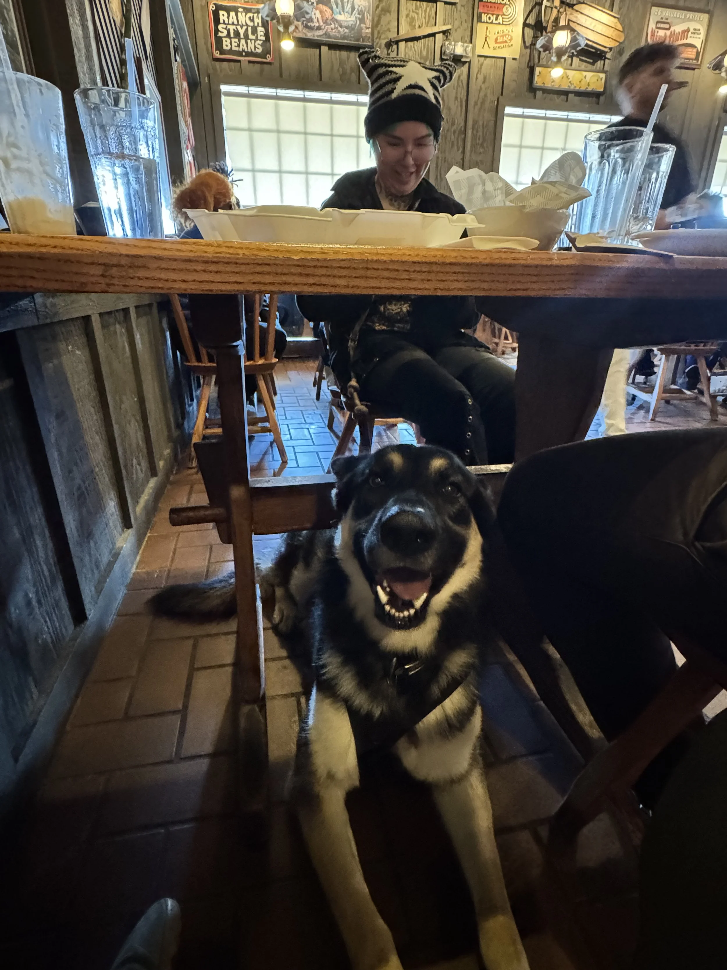 Happy dog sitting under a table in a cozy restaurant, with people dining in the background.
