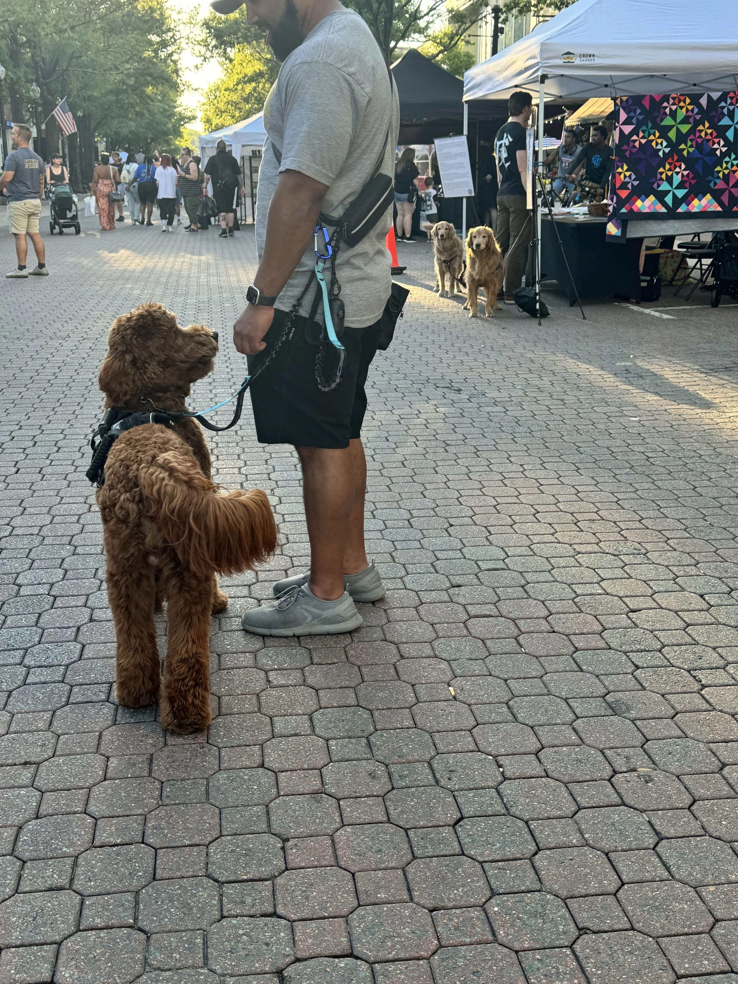 A man standing with a brown curly-haired dog on a leash at an outdoor event or market, with tents and people in the background, along with two other dogs near a booth.