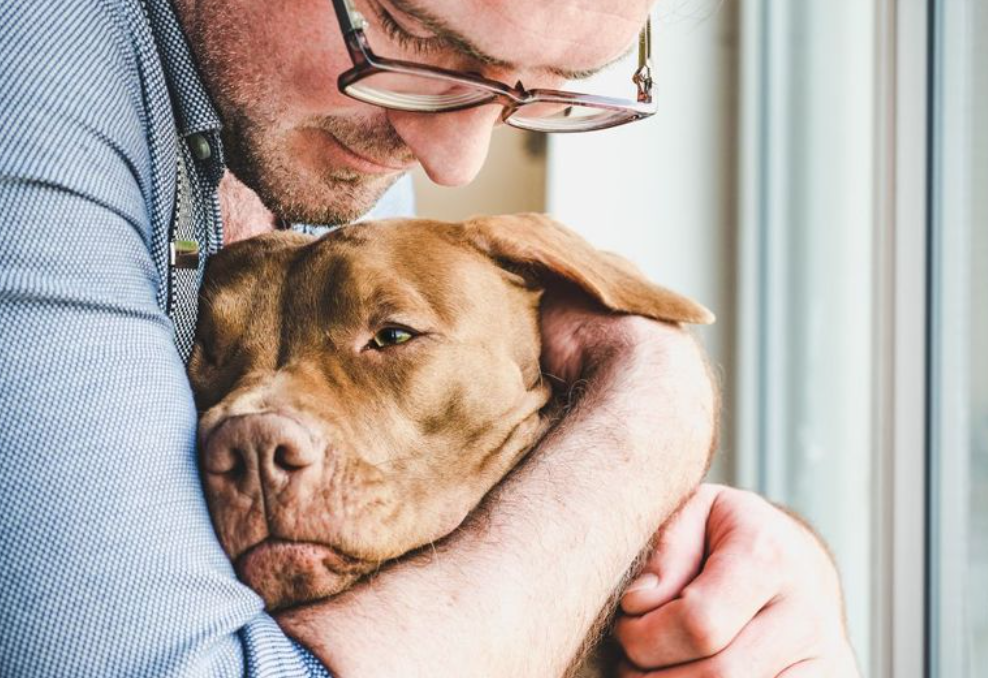 Psychiatric Assistance Service Dog