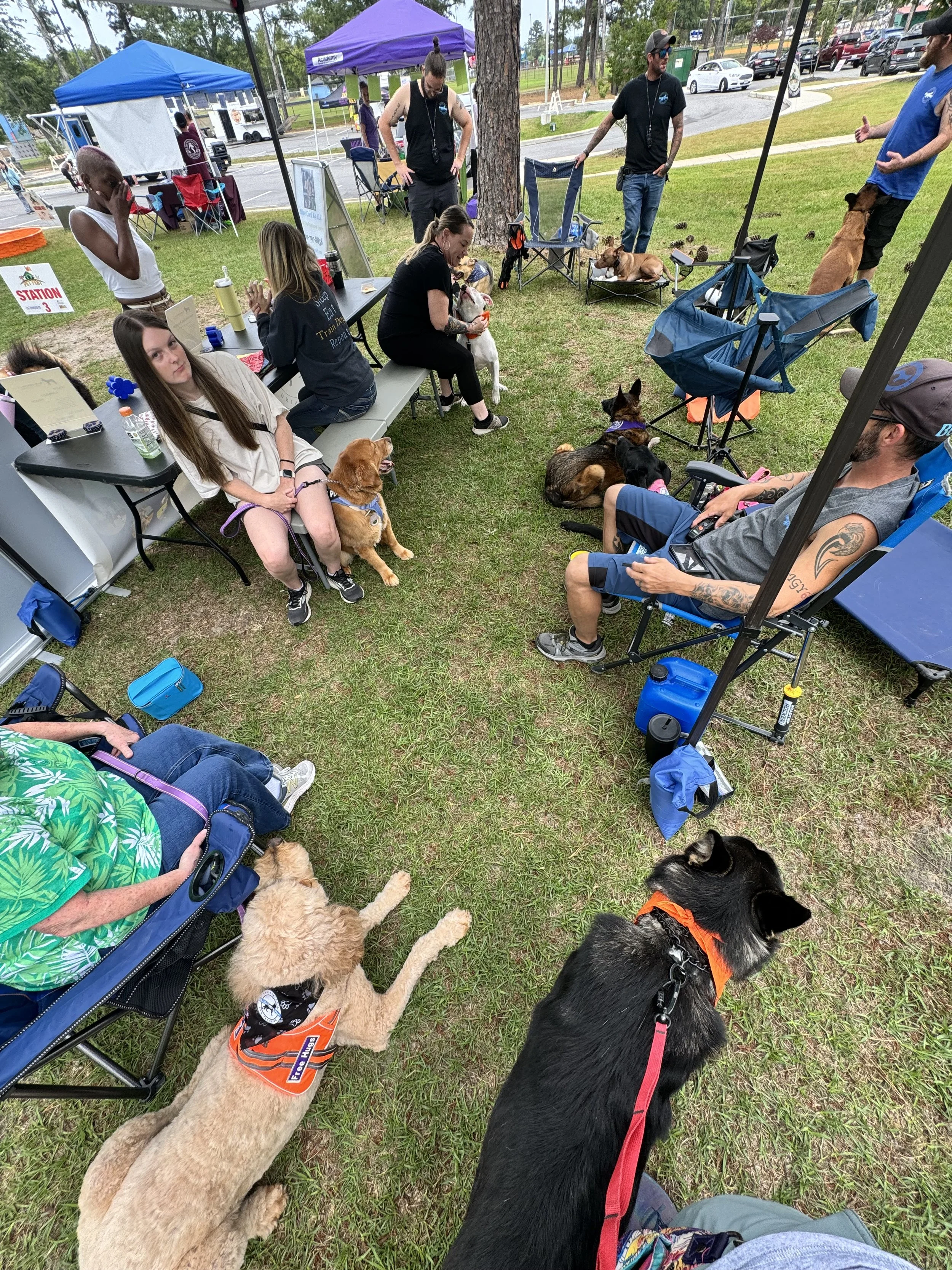 People gathering at an outdoor dog adoption event with several dogs and tents.