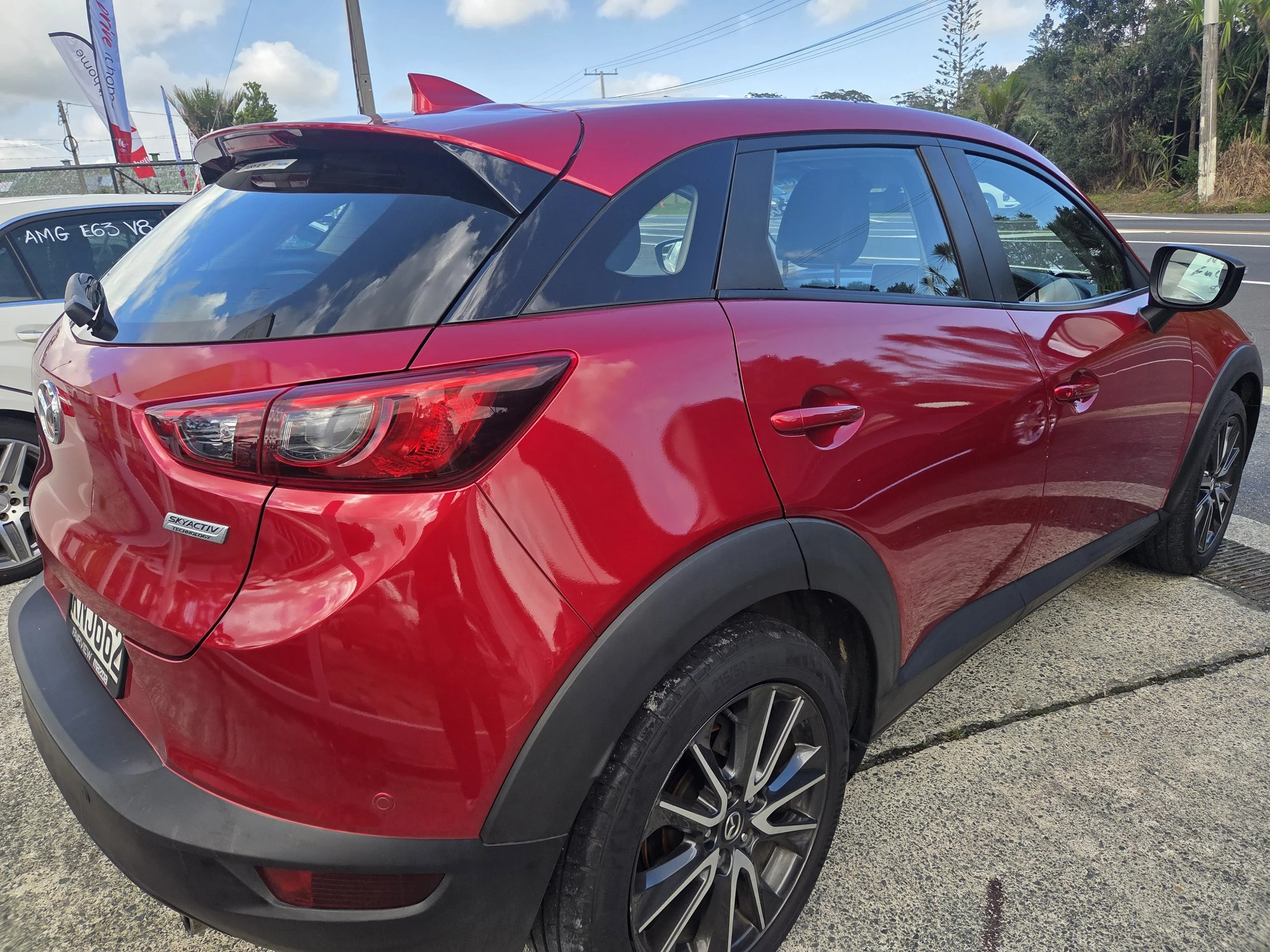 1000010881.jpg (Copy)