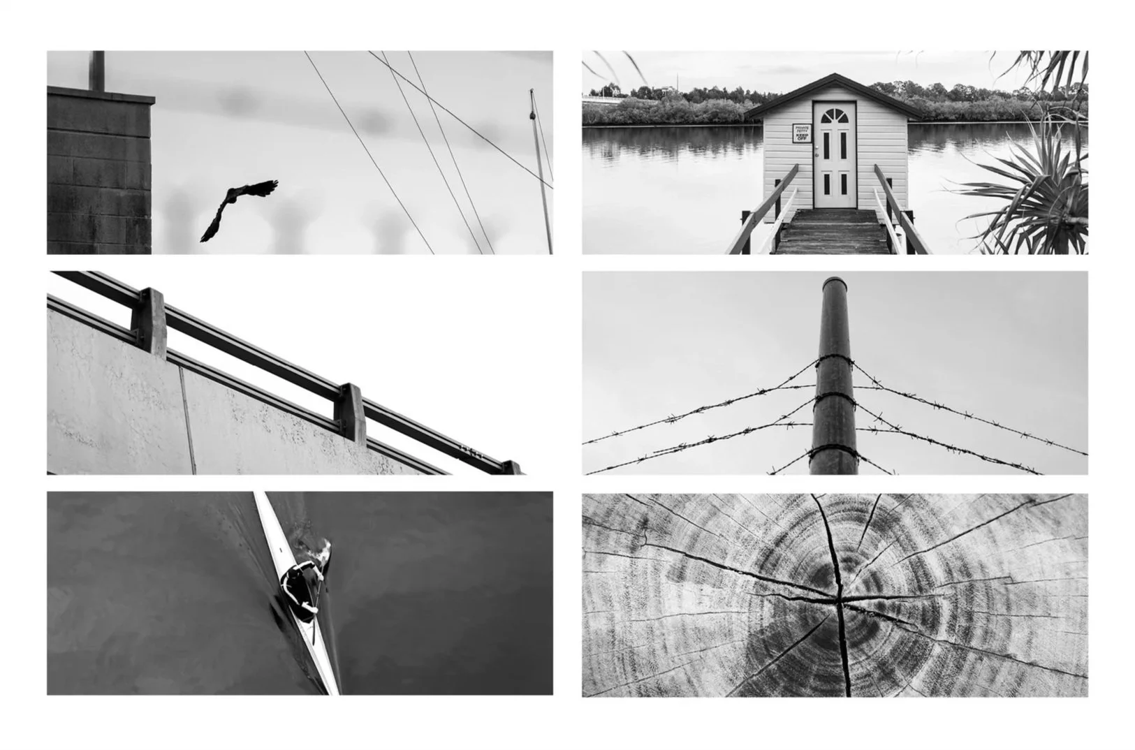 Collage of six black-and-white photographs: a bird flying near power lines, a lakeside boathouse with stairs leading to the water, a close-up of a fence on a wall, barbed wire on a utility pole, a sailboat with a mast, and a tree trunk cross-section with visible rings.