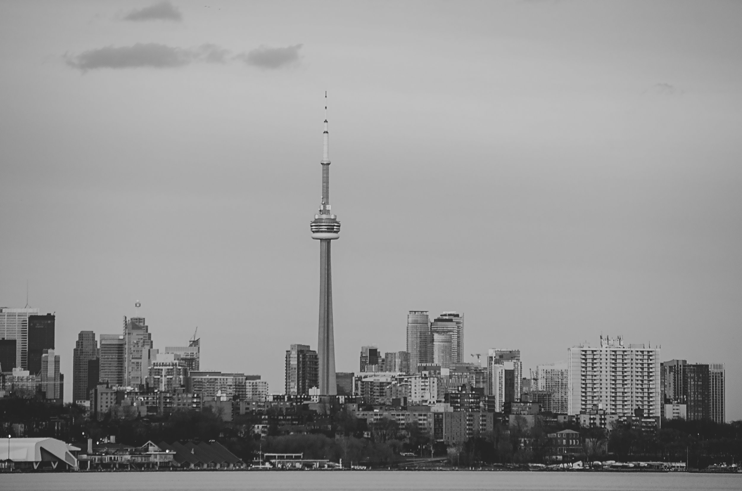 A black and white image of a classic Toronto skyline with tall buildings stand beside the iconic CN Tower.