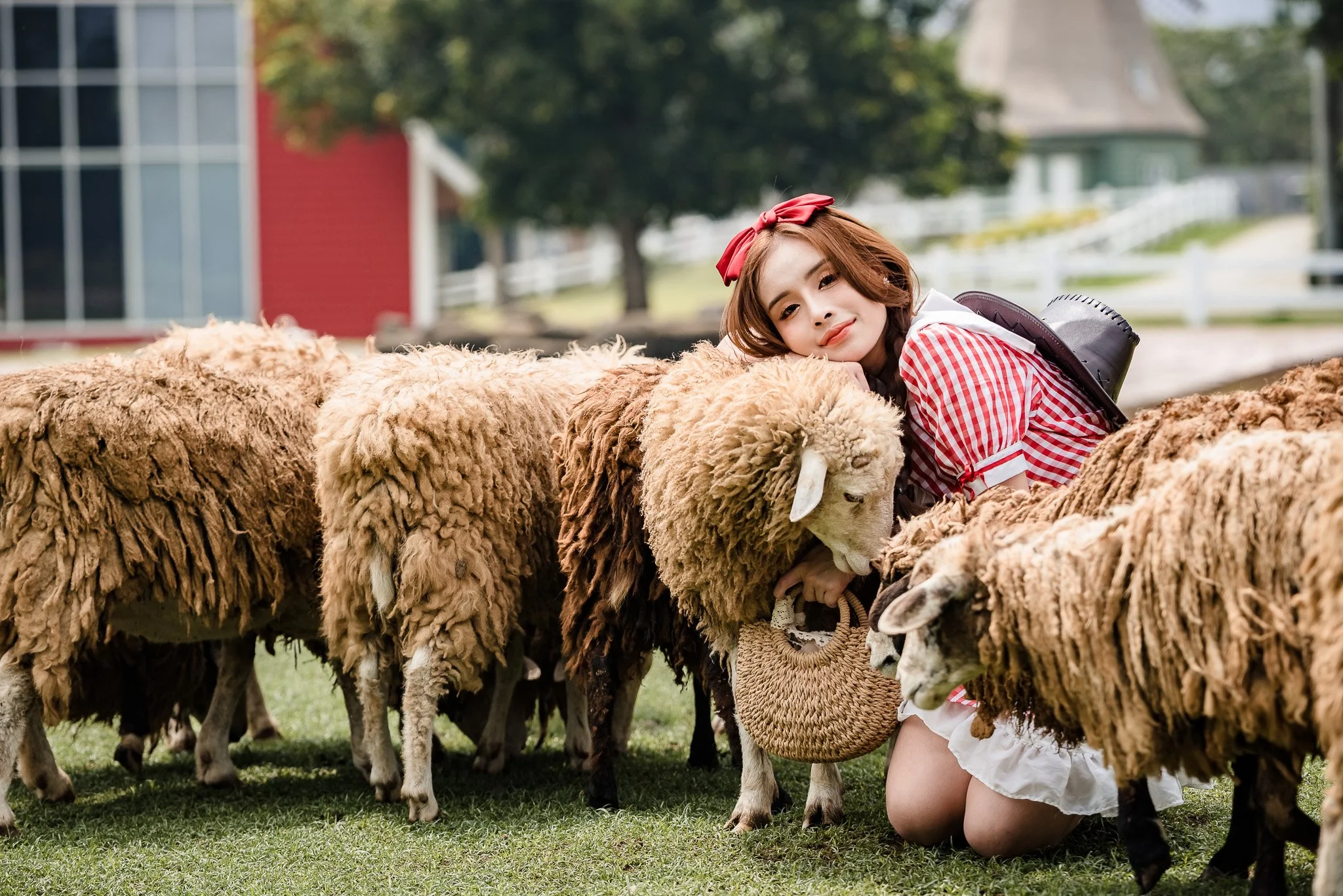 A young woman kneeling on the grass, leaning her head on a sheep, surrounded by sheep on a farm. She wears a red and white checkered dress and has a red bow in her hair.