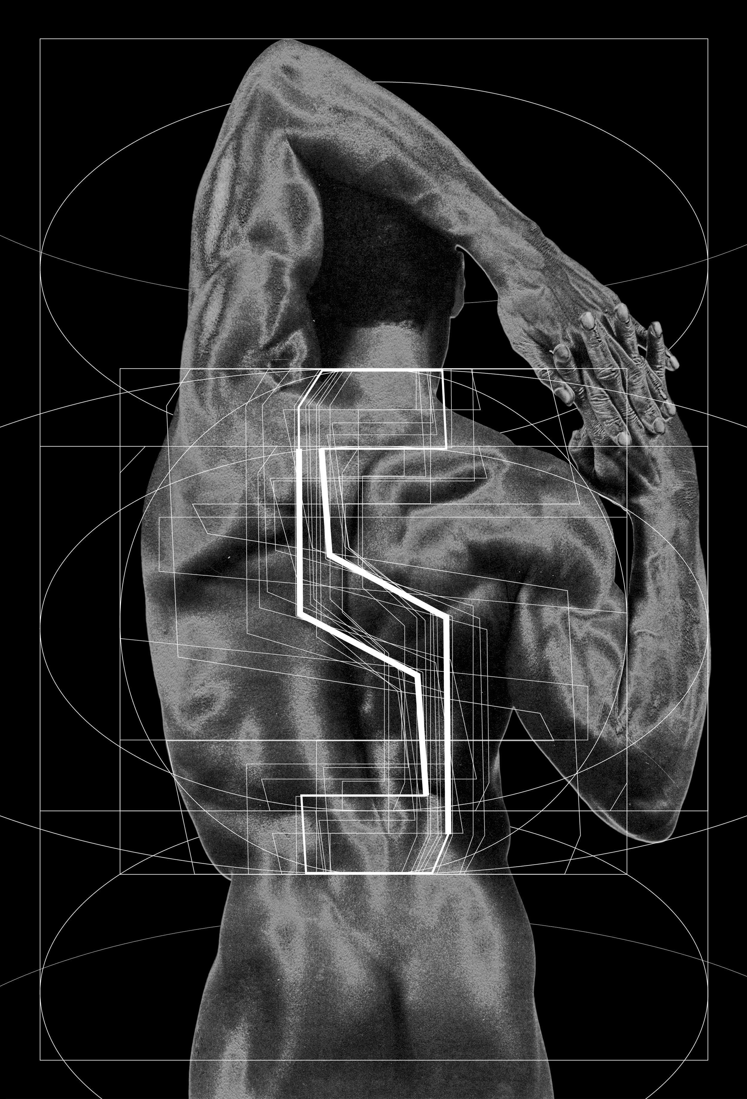 typeface anatomy