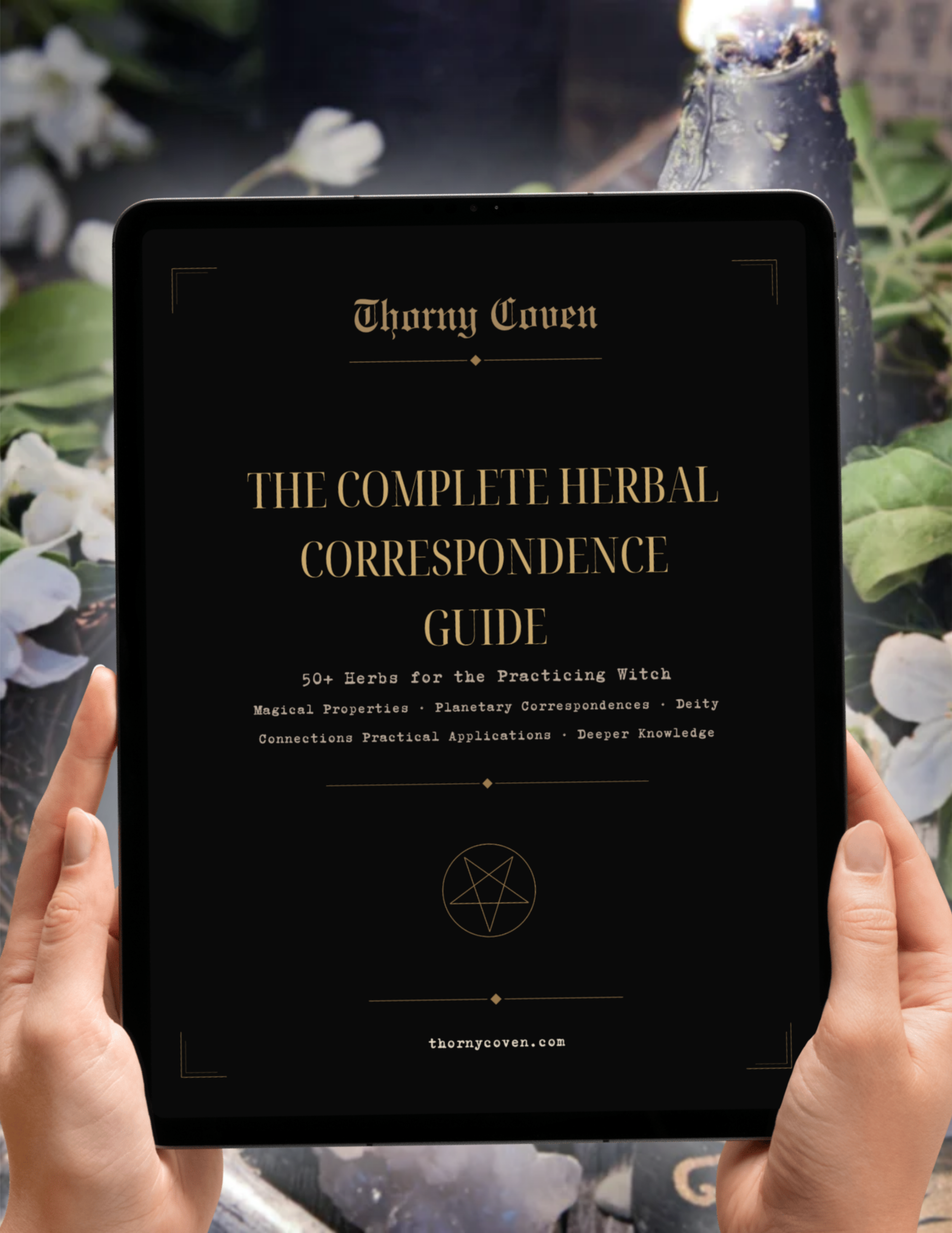 Herbal Correspondence Guide