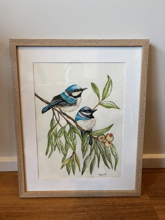 Blue Wren.jpg