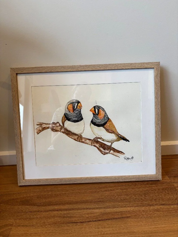 Orange wren.jpg