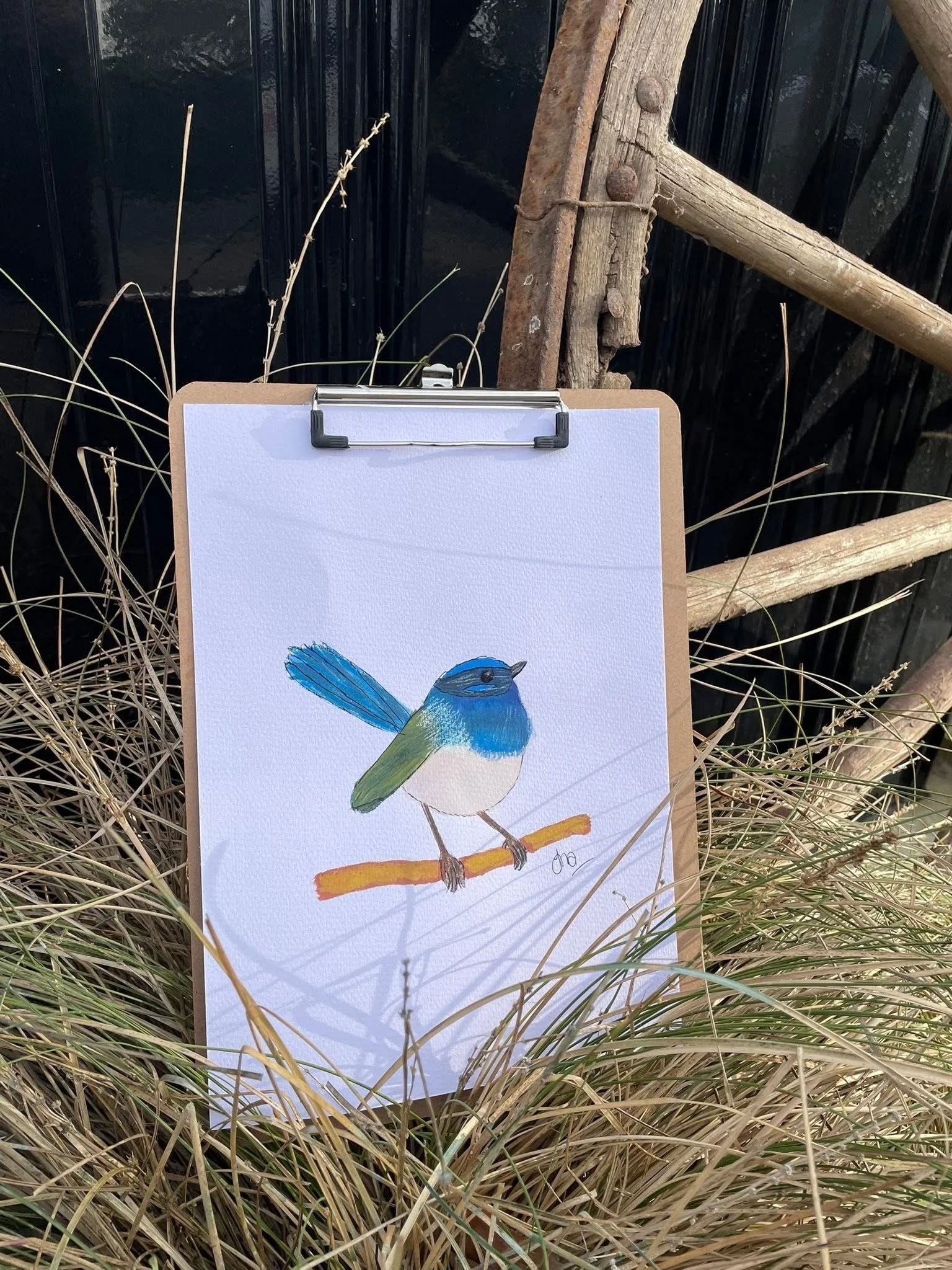 A watercolor painting of a small blue bird with a white belly, perched on a thin brown branch, surrounded by dry grass.