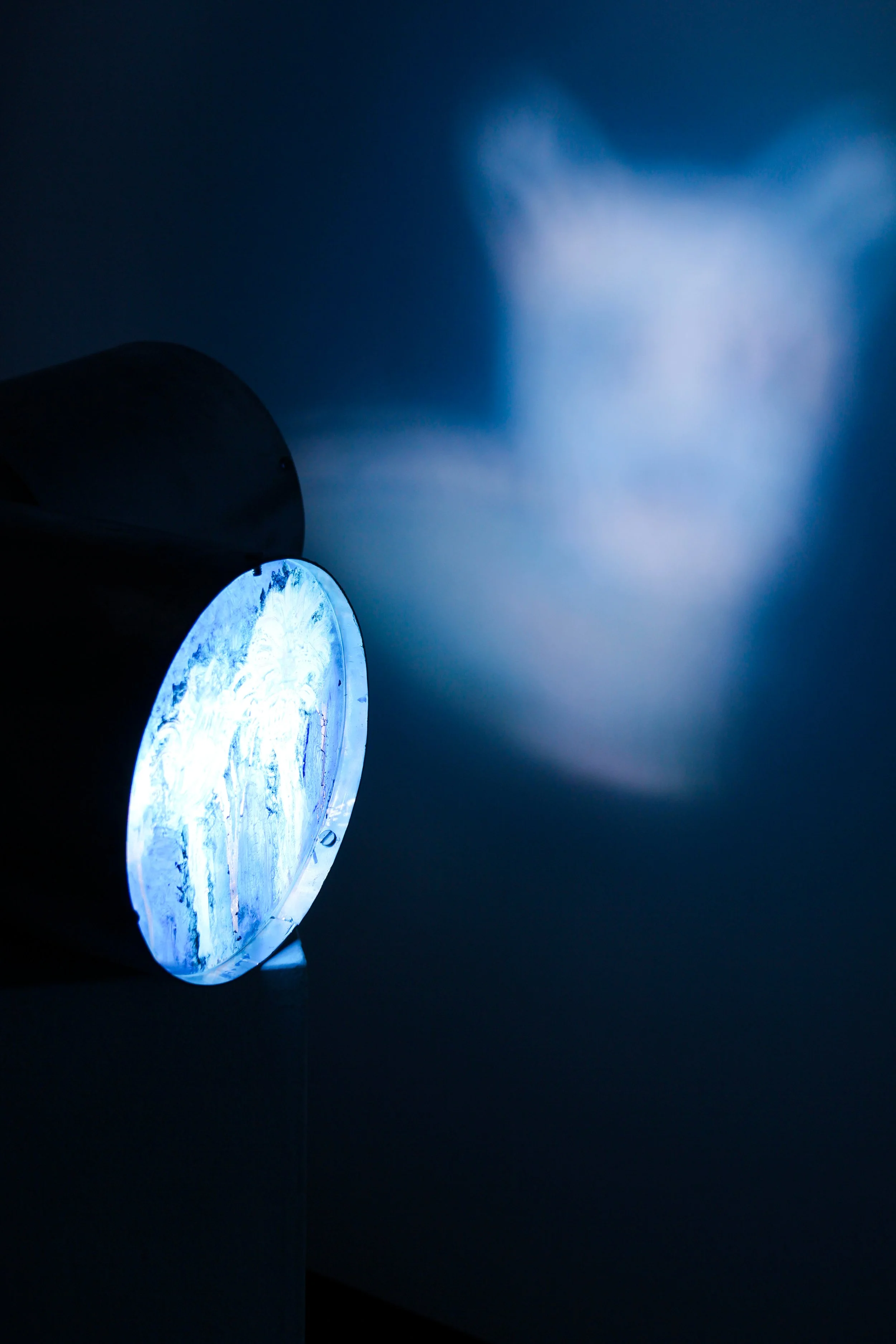 Fantasmagoria, 2024. Instalação, pintura a óleo em vidro e luz led.