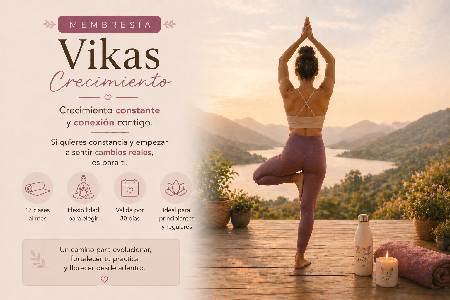 Vikas - Crecimiento