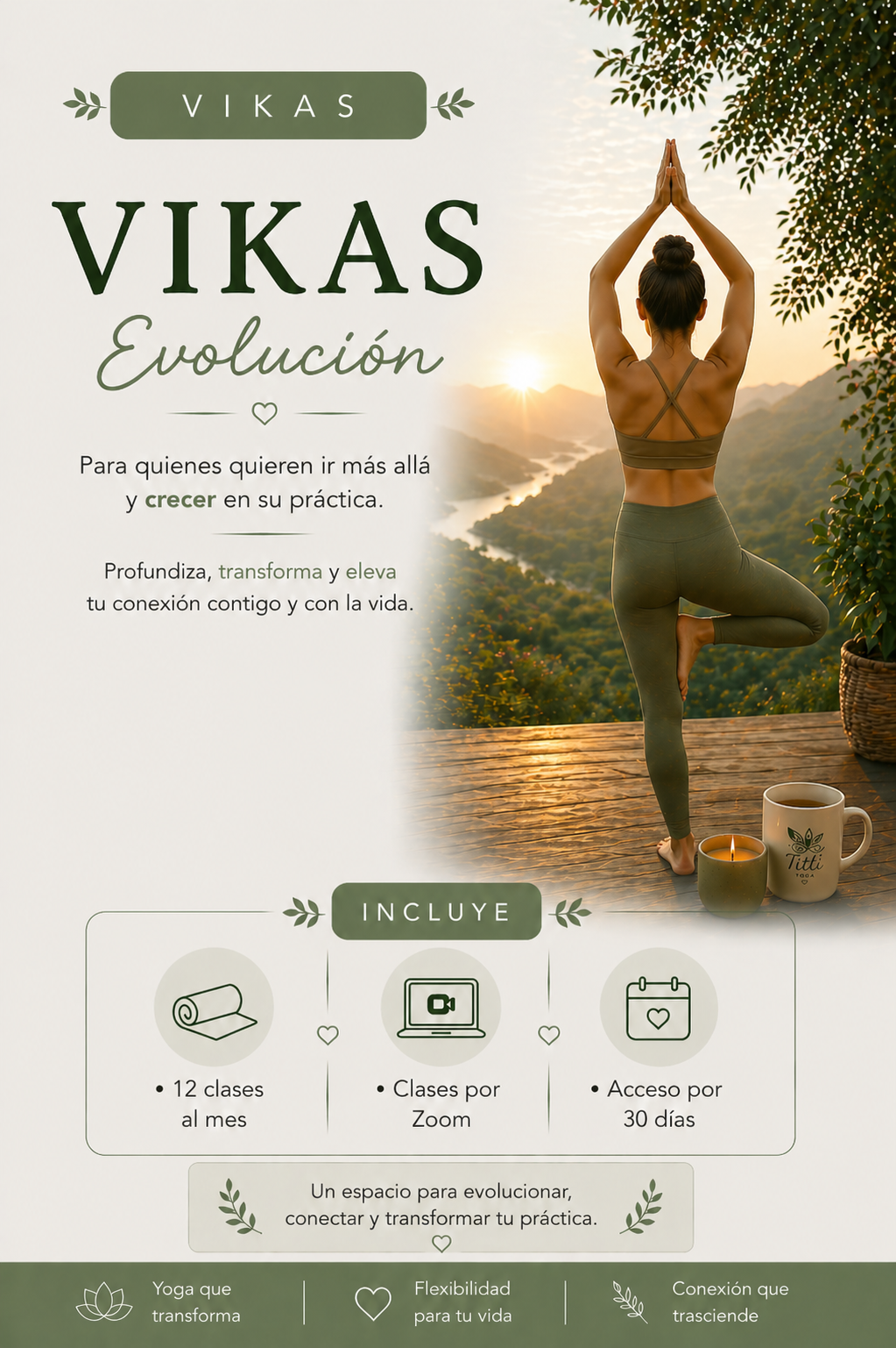 Vikas - Evolución