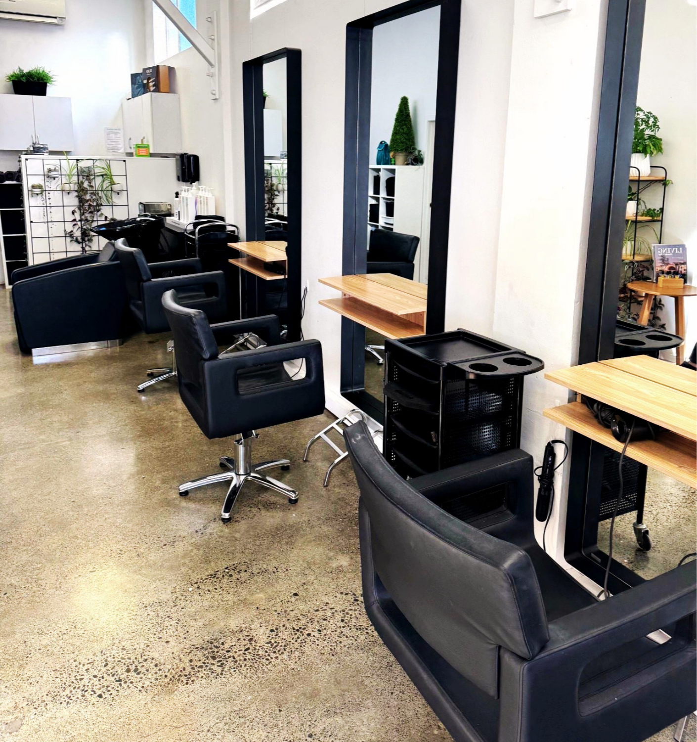 Interior of a hair salon or barber shop with black styling chairs, mirrors, wooden shelves, and various plants and decorations.