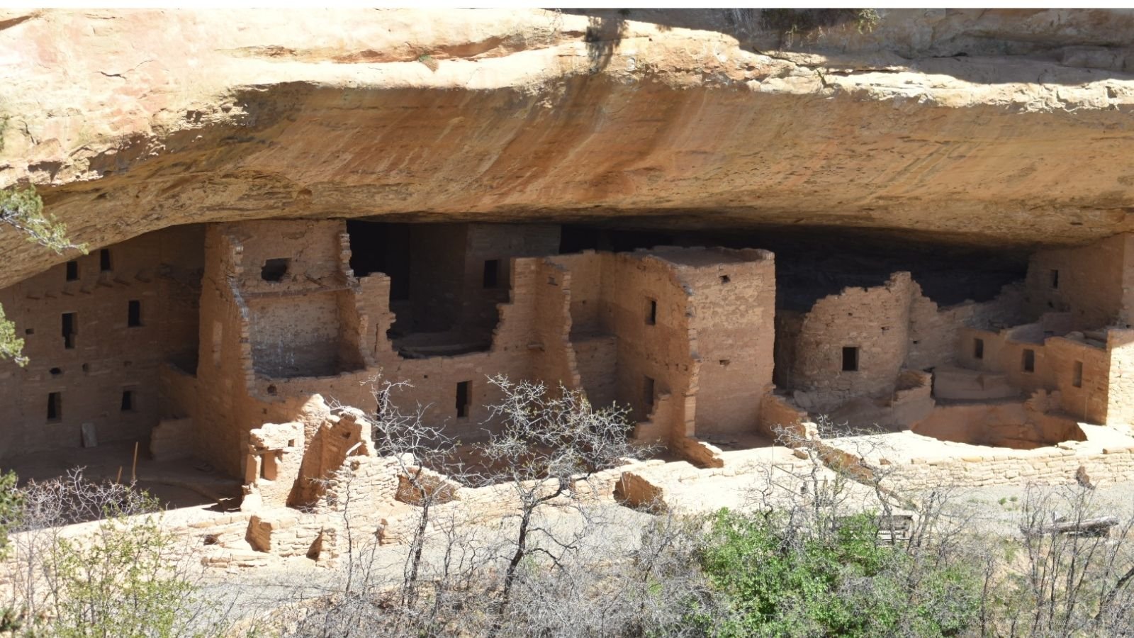 Ancient cliff dwellings built into a cave in the rock face, with trees and shrubs in the foreground.