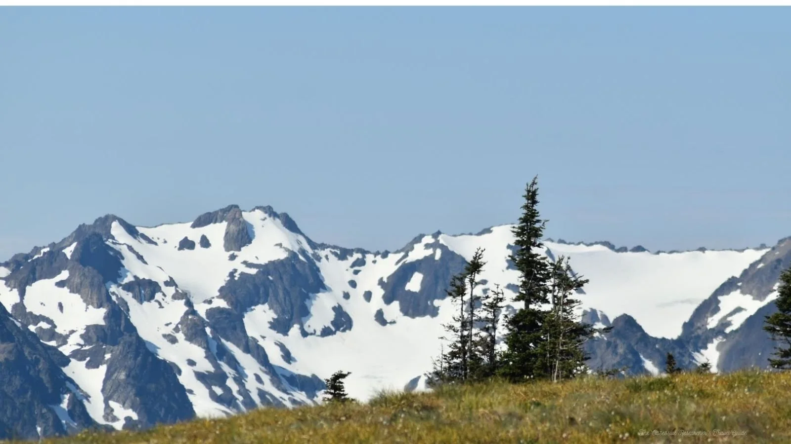 Snow-capped mountain range under clear blue sky with trees on grassy foreground.