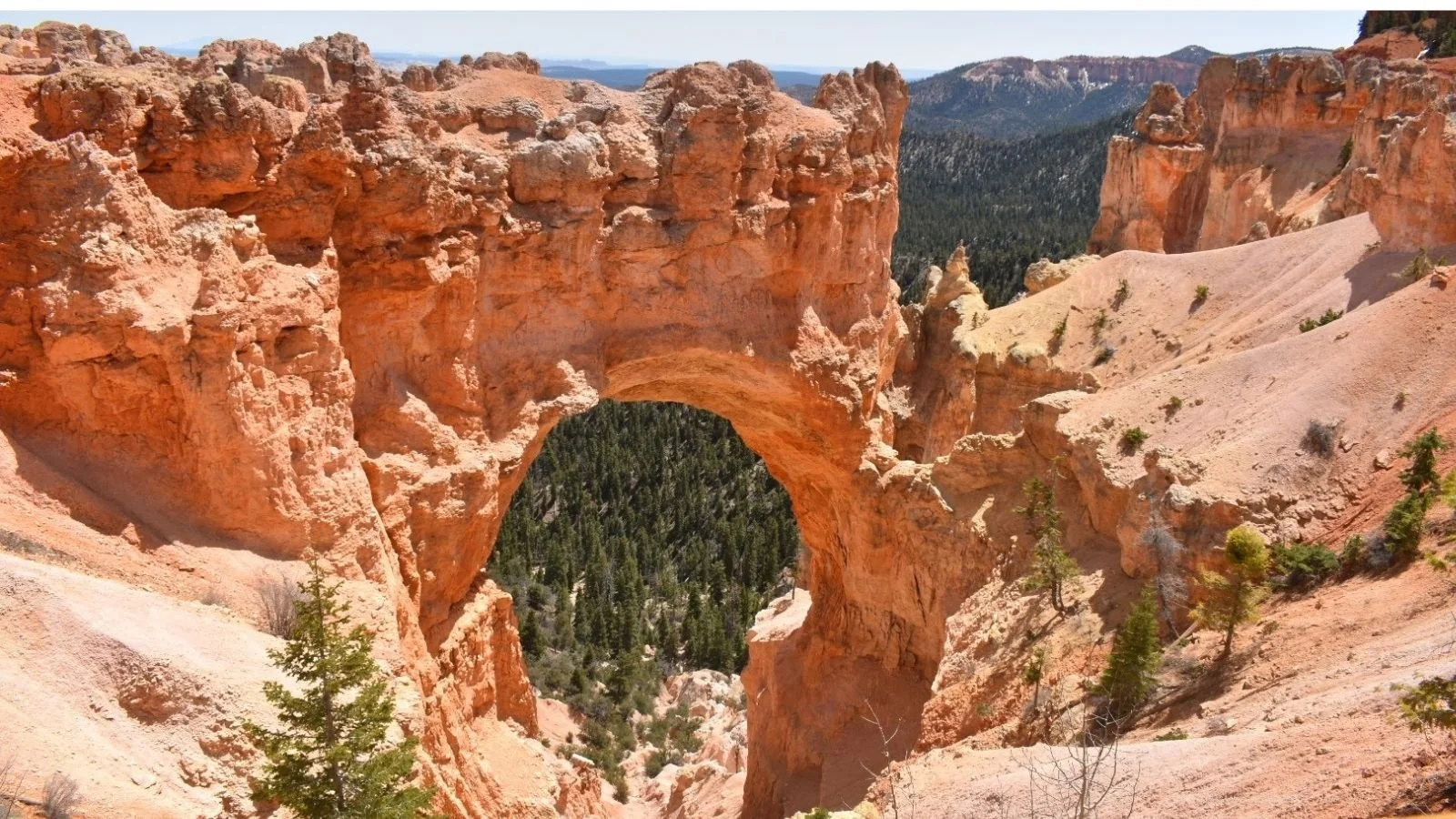 View of a natural rock arch formation in a desert landscape with rugged reddish-orange rocks and sparse green trees, overlooking a forested canyon.